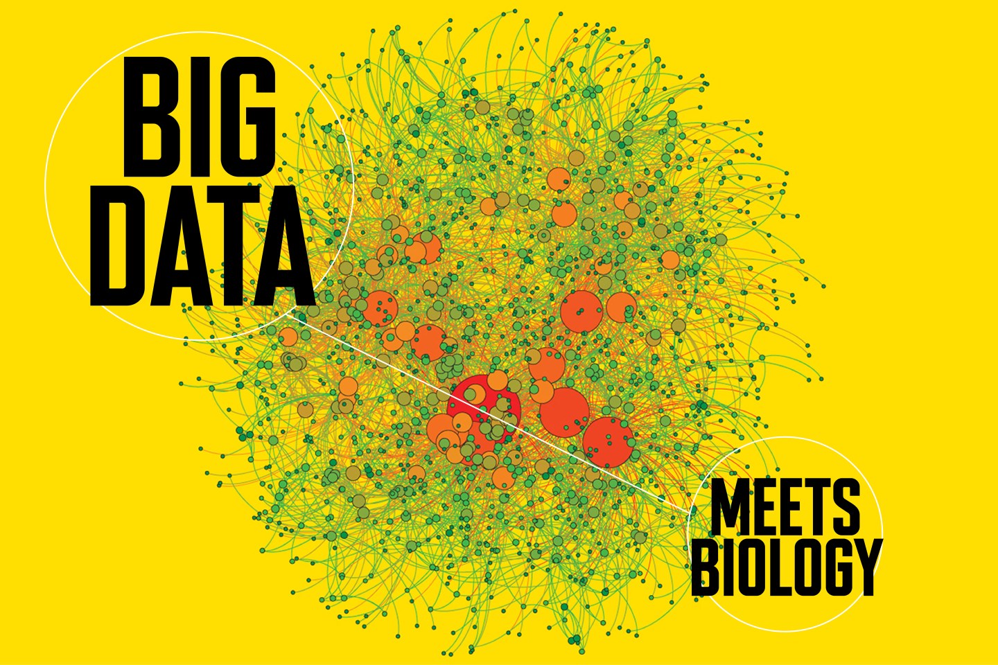 How Software Maker Tableau Helps Doctors Tame Data