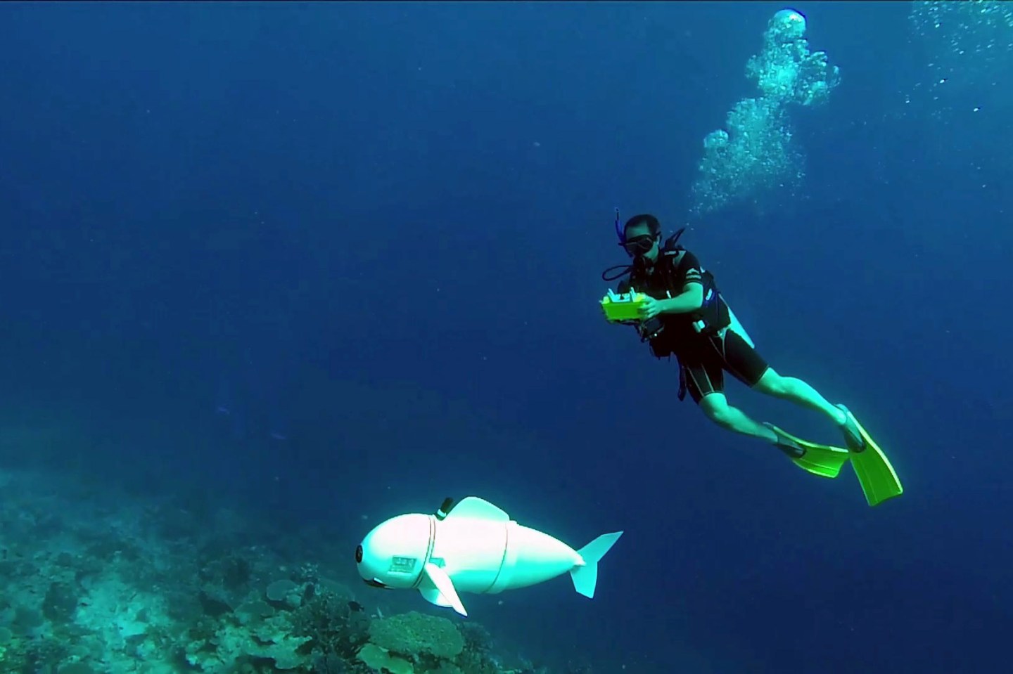 sofi-robot-fish-mit