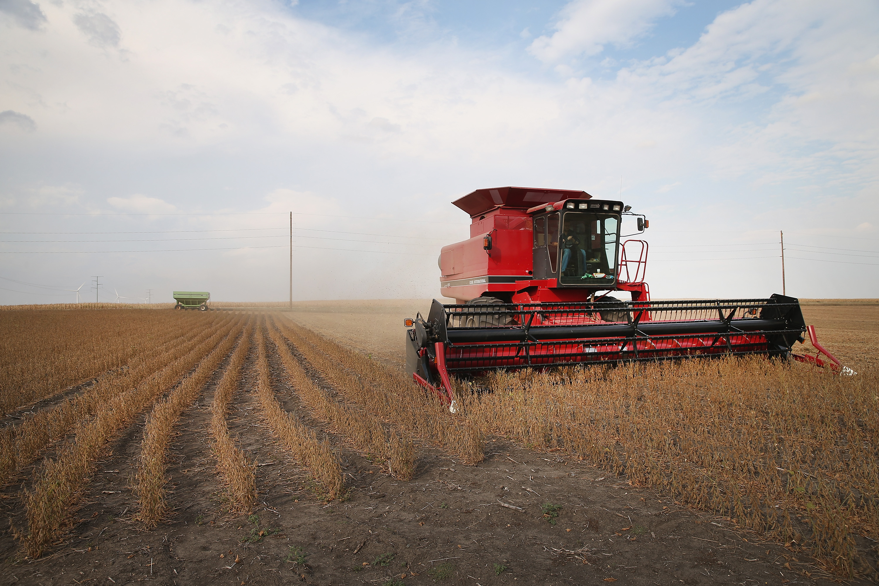 U.S. Farm Earnings Drop 14.6 Percent In Third Quarter AFter A Decline In Output