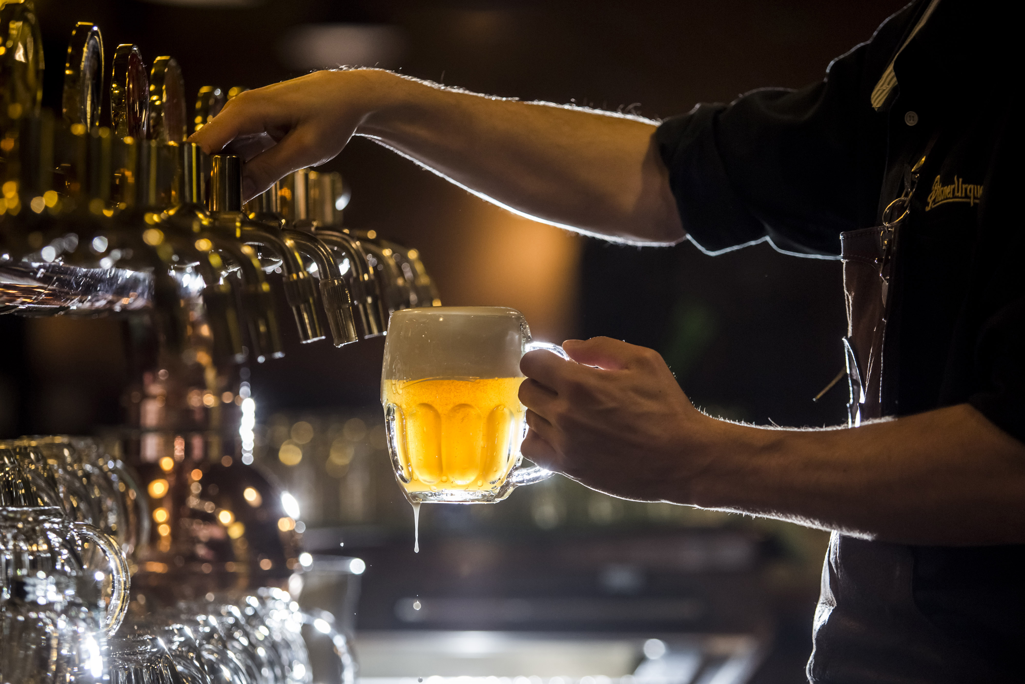 Pouring a tap beer