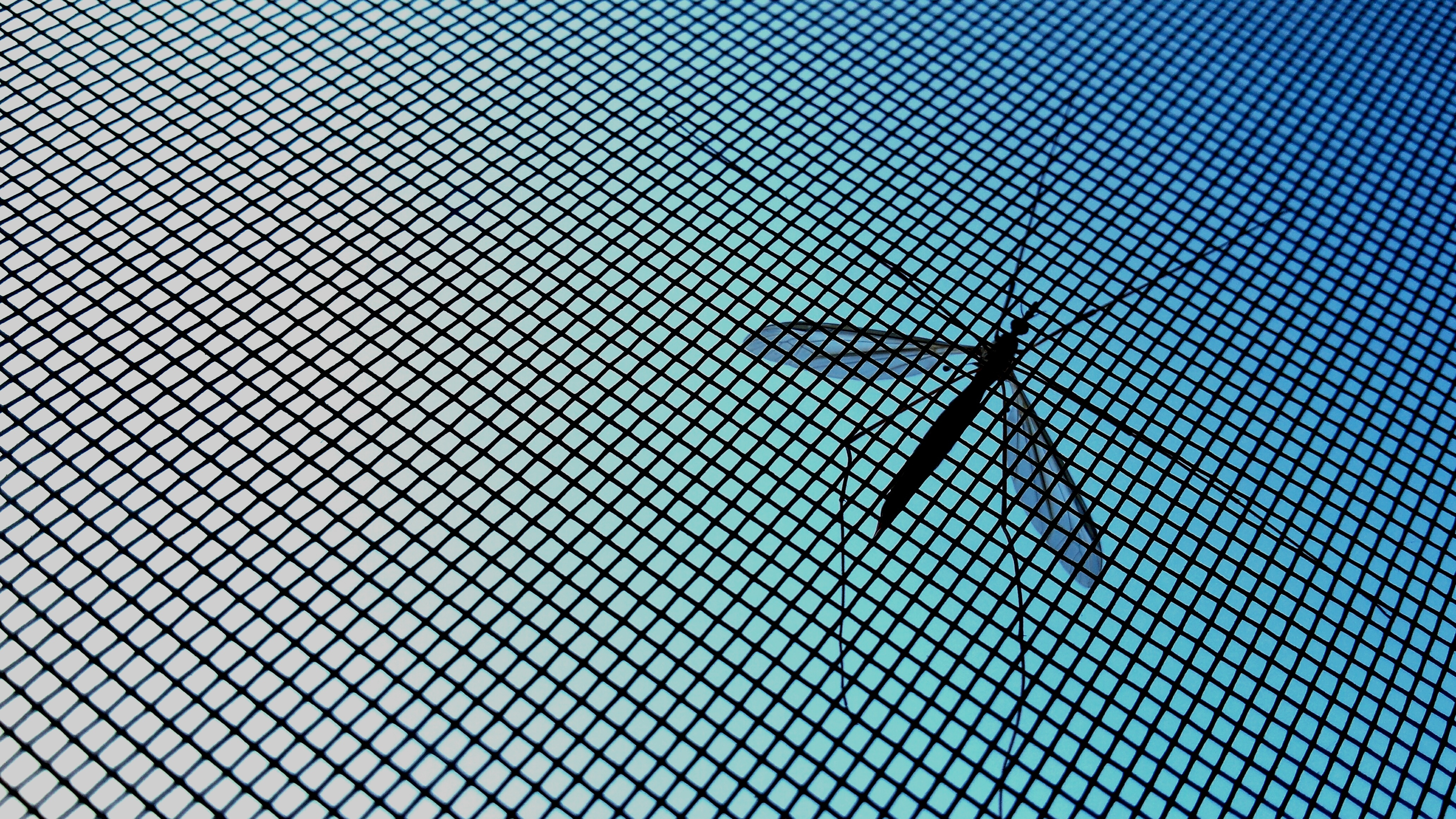 Low Angle View Of Mosquito On Net Against Sky On Sunny Day