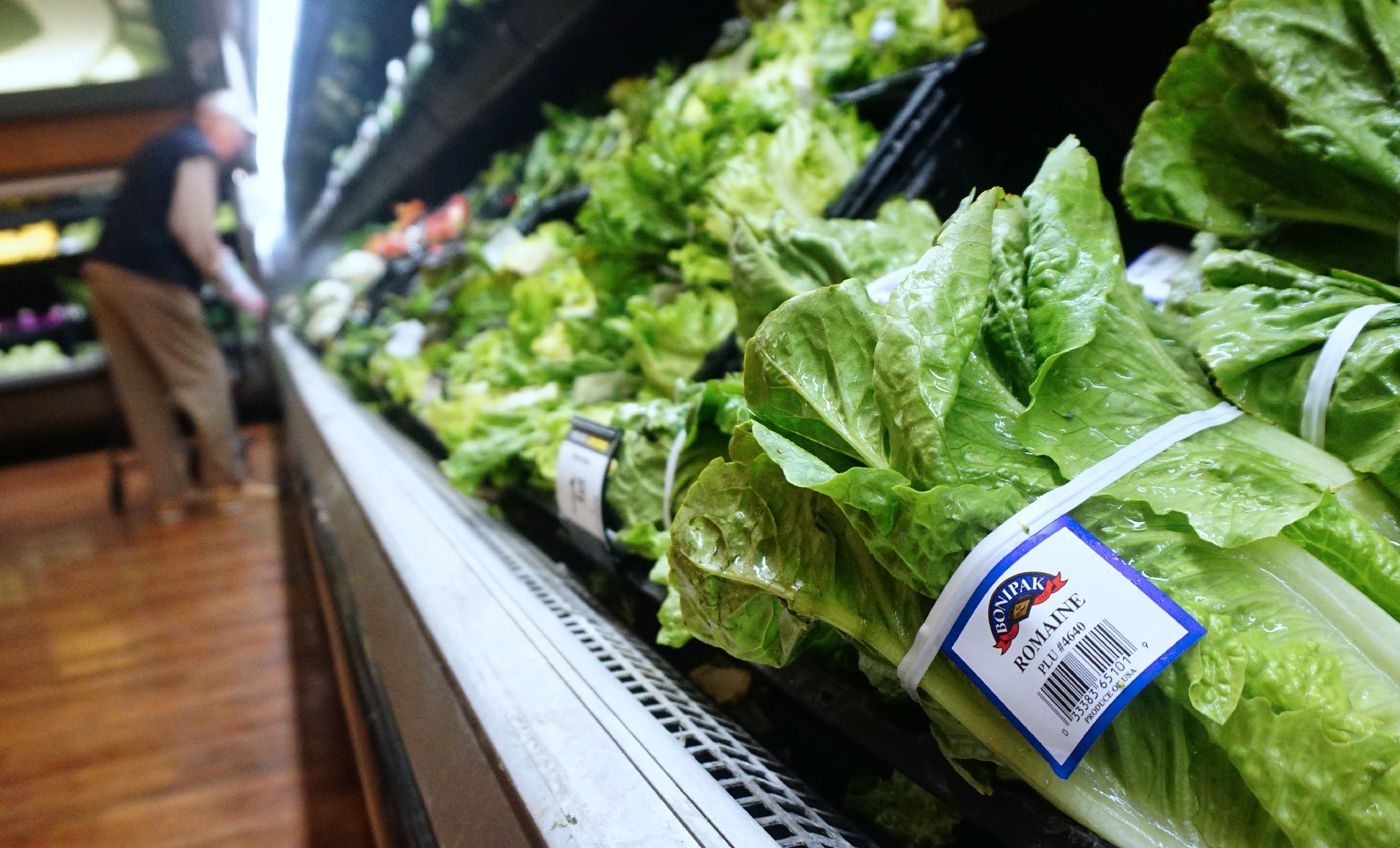 US-E COLI-LETTUCE