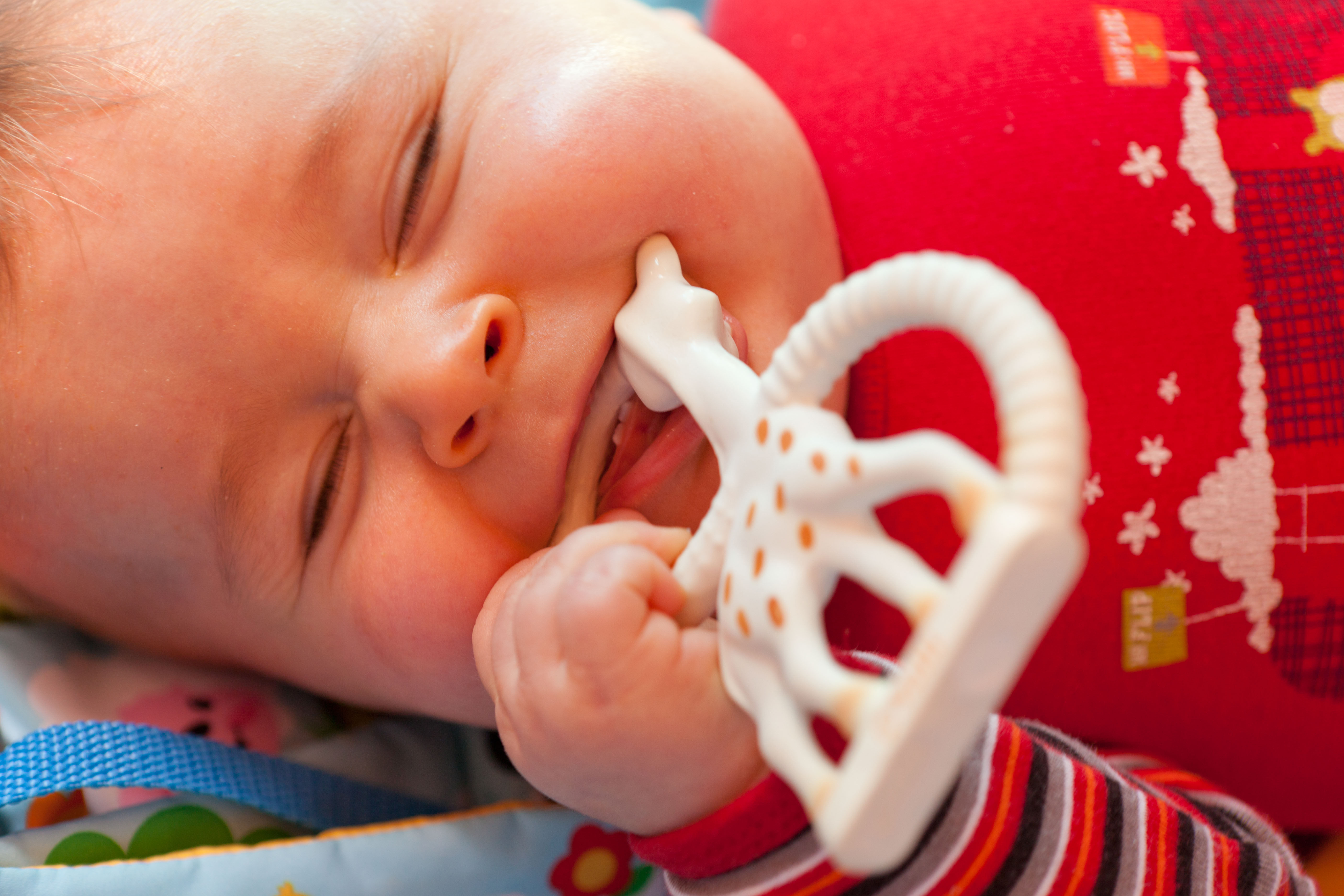 Infant Portrait