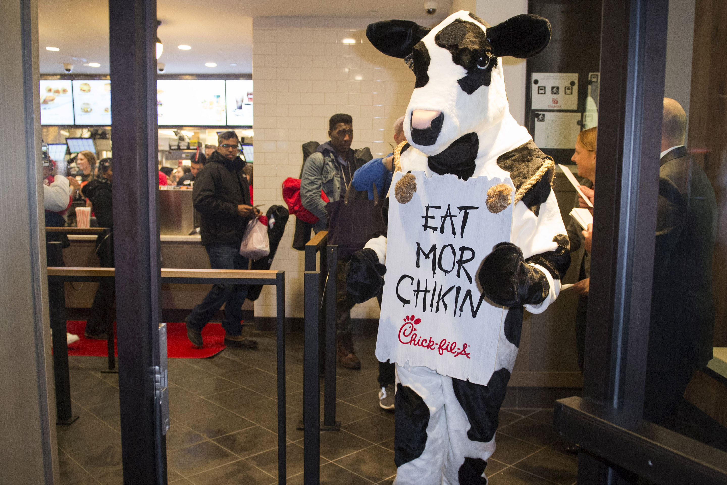 Chick-fil-A-cow-calendar
