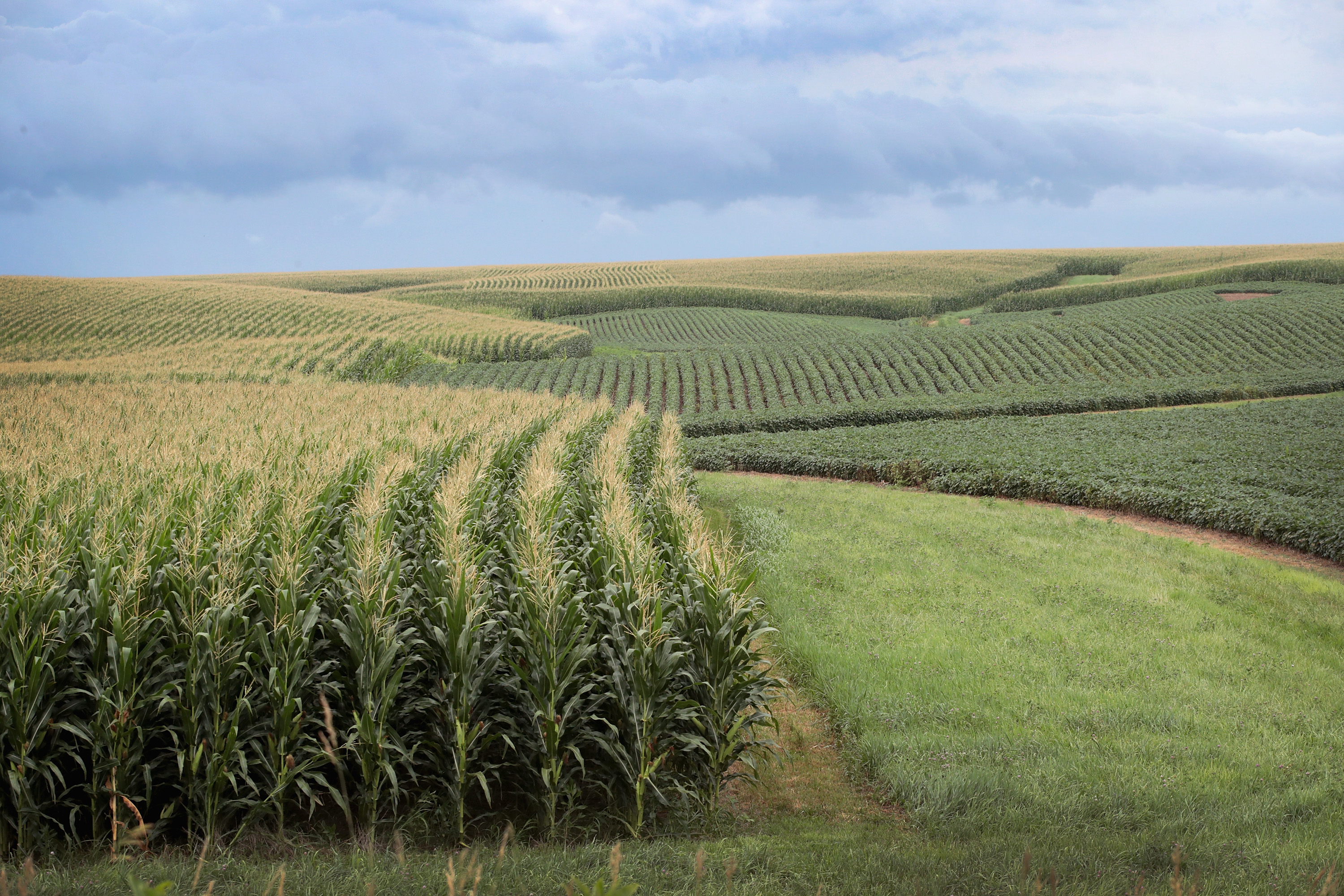 Iowa's Agricultural Economy Under Threat From Trade War With China