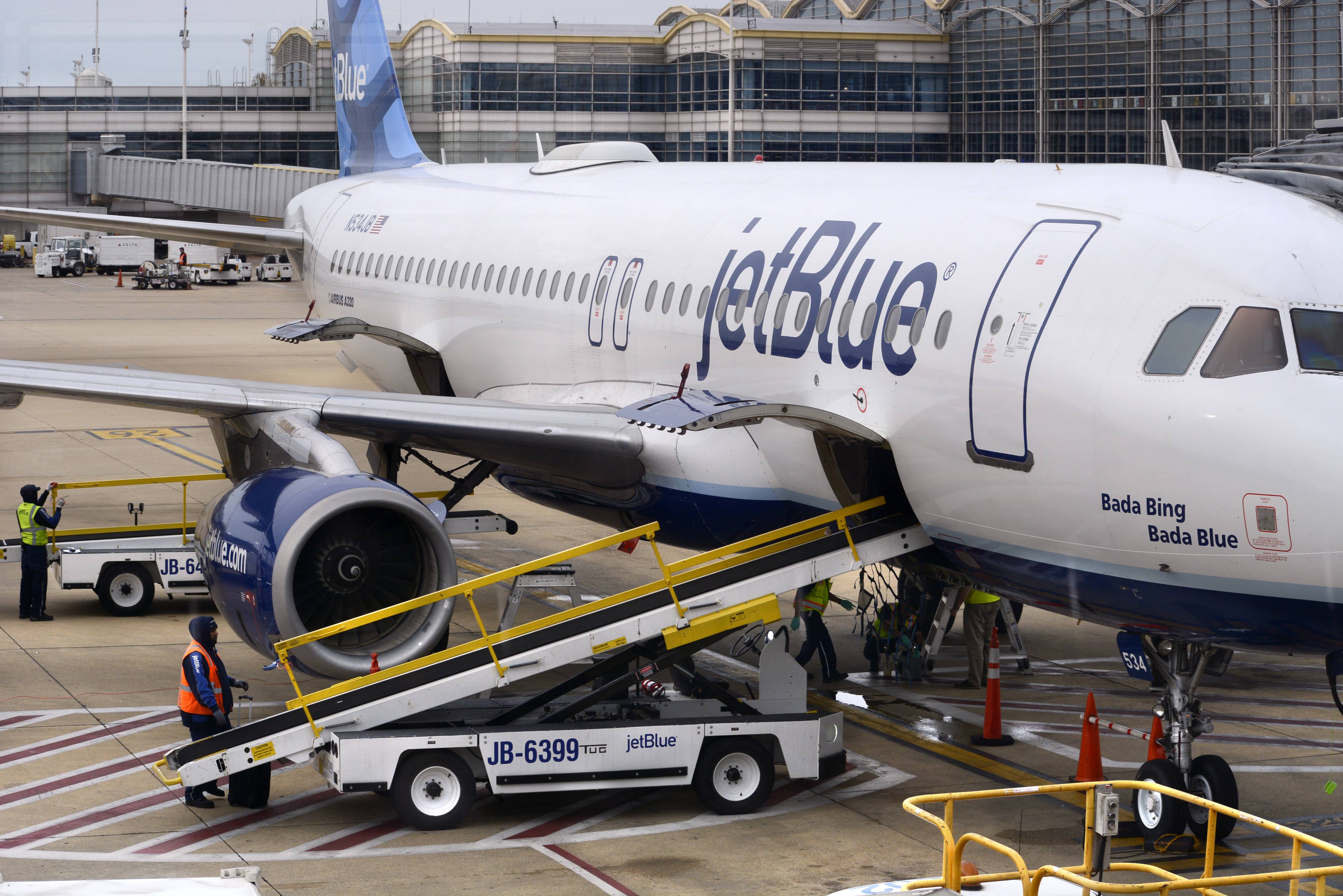 JetBlue Crew Saves Dog In Distress With Oxygen Mask