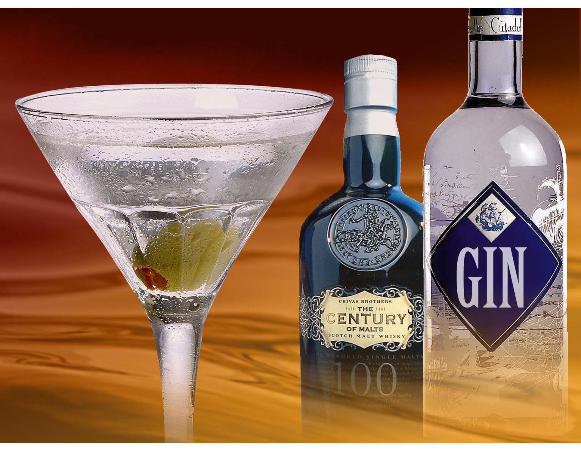 Gin Martini