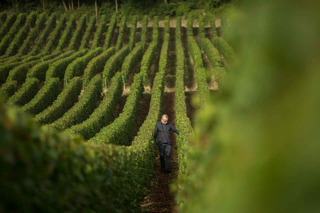 Richard Geoffroy, Chef de Cave of the Champagne house, Dom Pérignon.
