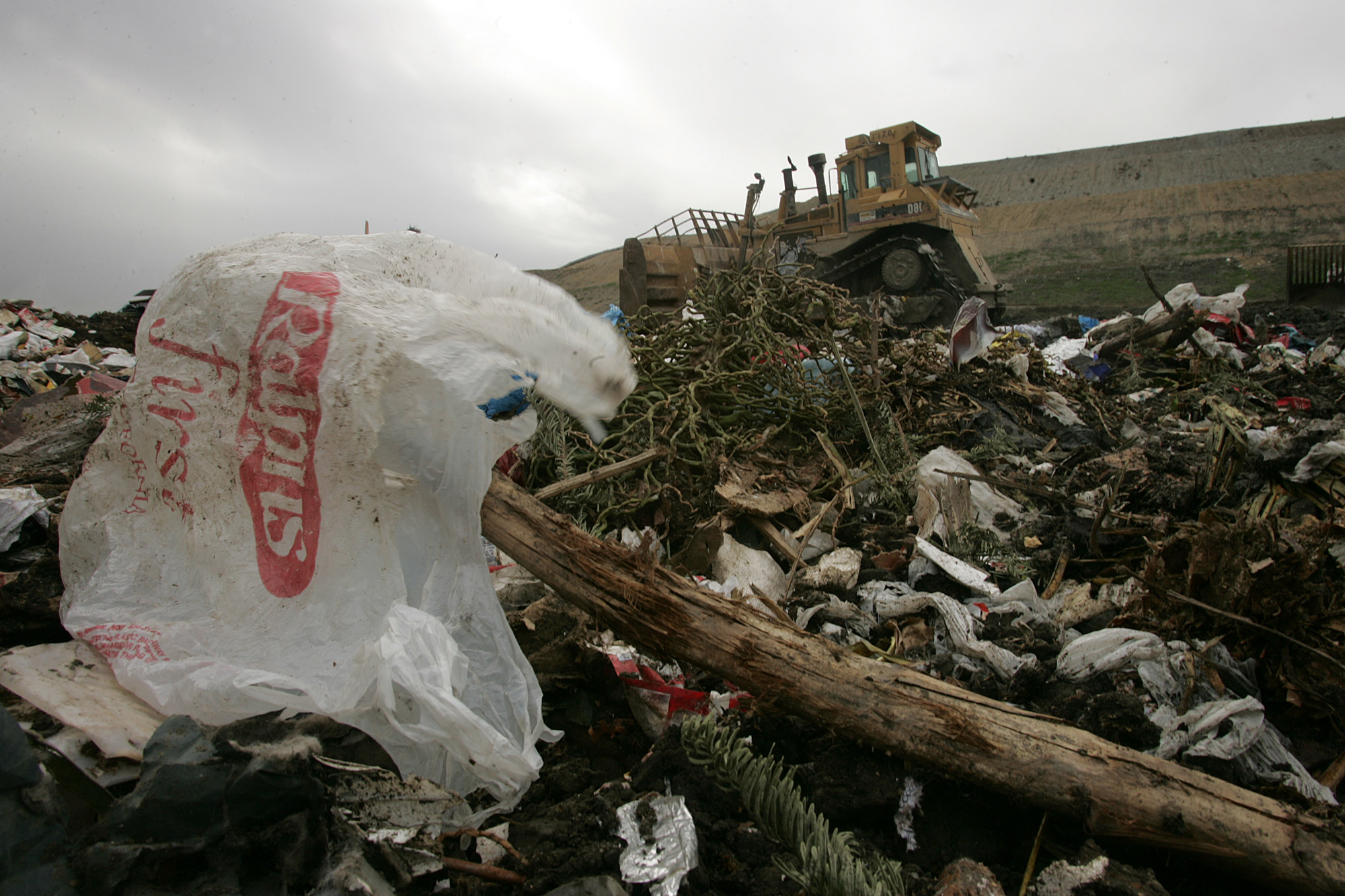 A plastic shopping bag from Ralph's supermarket on the ground at the Calabasas landfill on 1/22/08.
A plastic shopping bag from Ralph's supermarket on the ground at the Calabasas landfill on 1/22/08. The County Board of Supervisors are dealing with banning plastic grocery bags and the city of San Francisco already has done so. (Photo by Gary Friedman/Los Angeles Times via Getty Images)