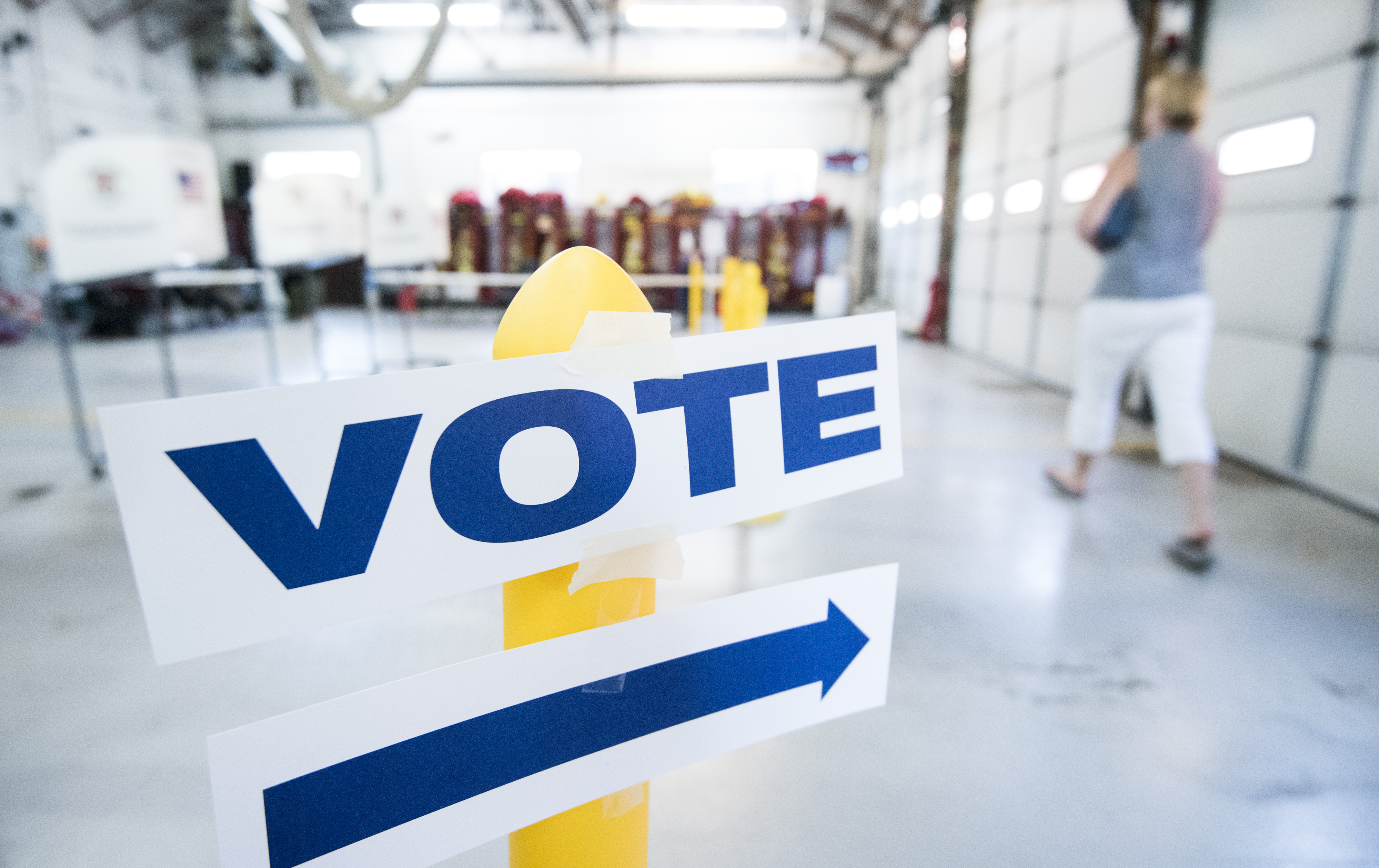 Virginia Primary Election