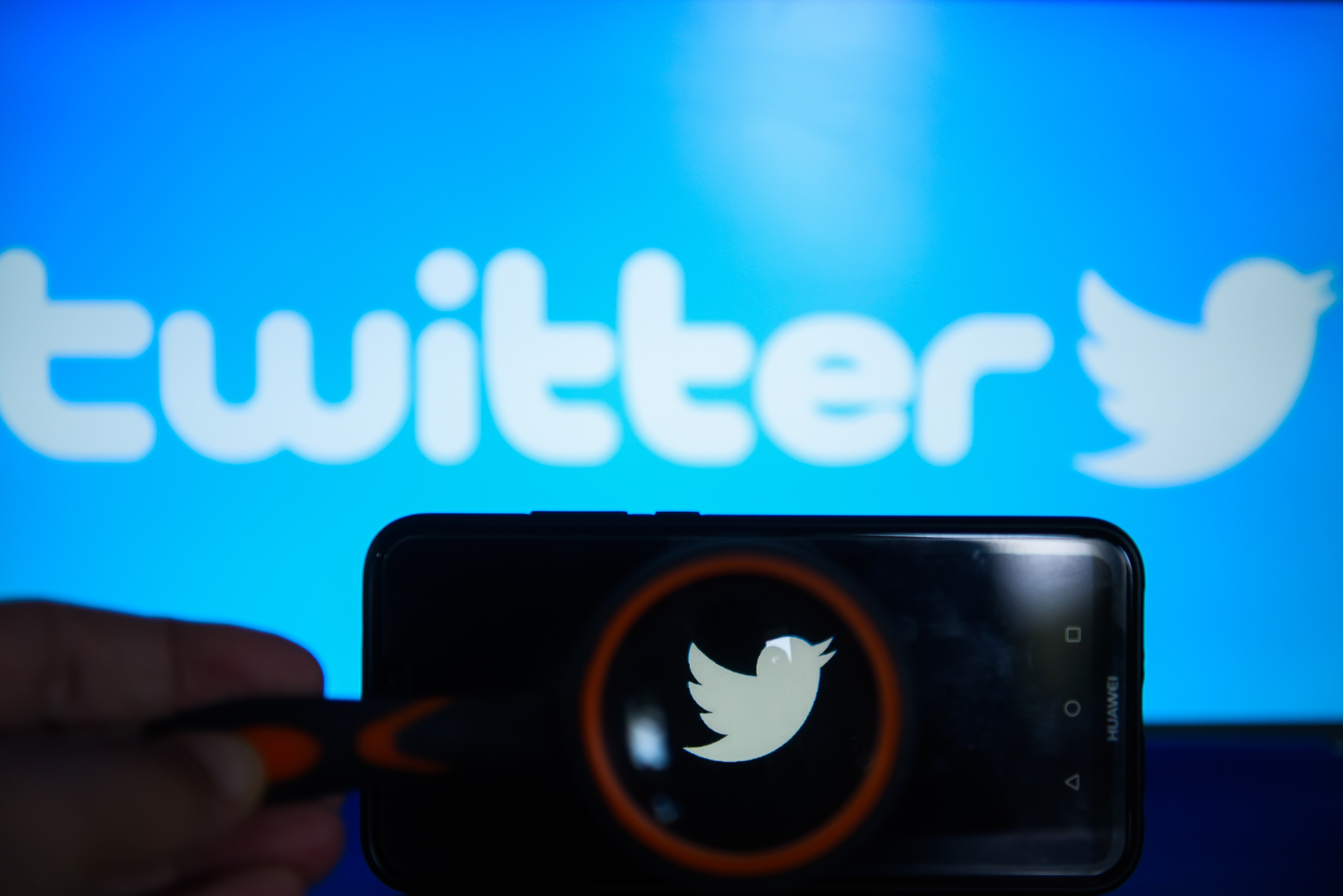 Twitter logo is seen trough a magnifying glass on an