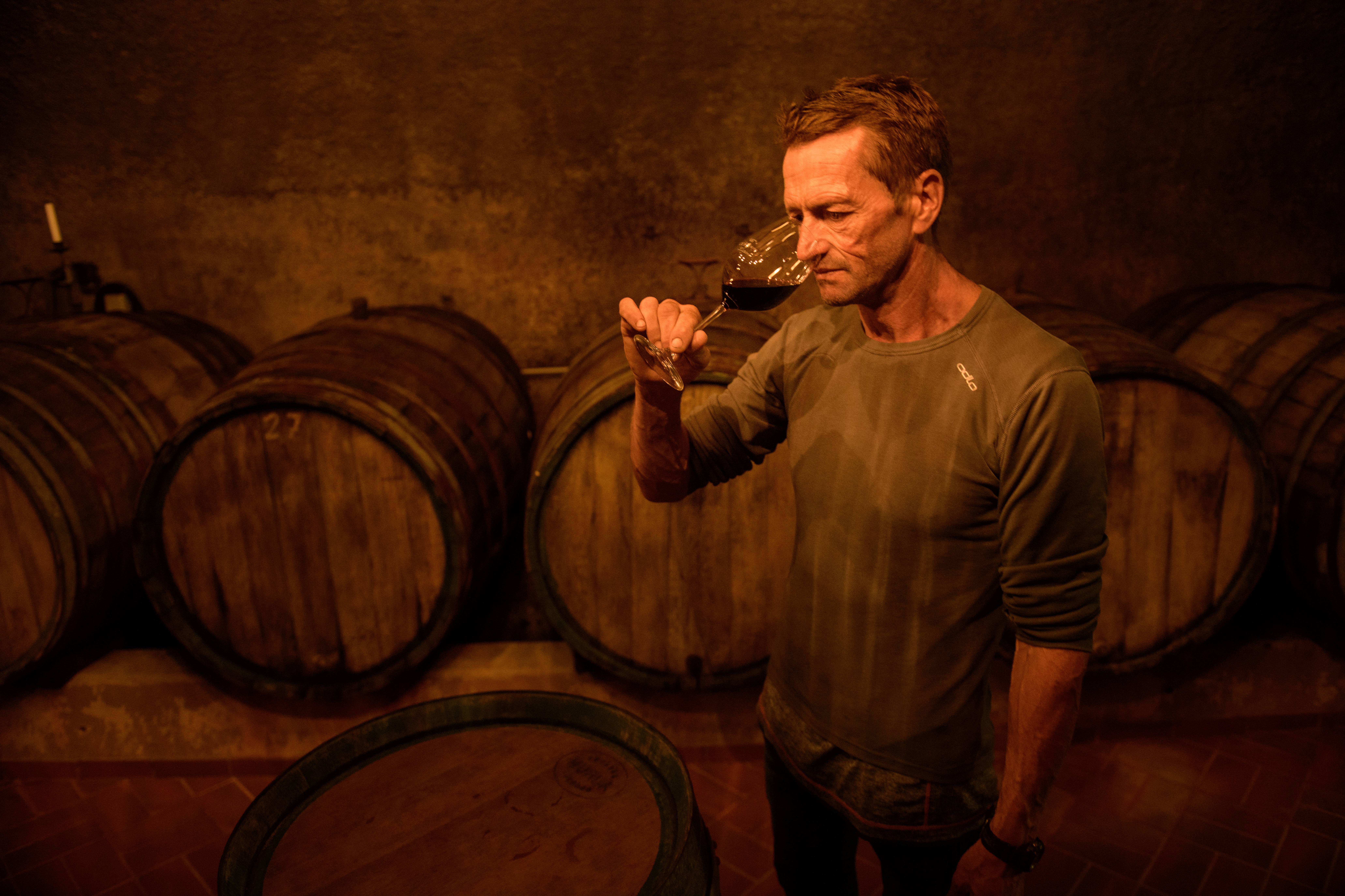 Winemakers Harvest Grapes In Mosel Region