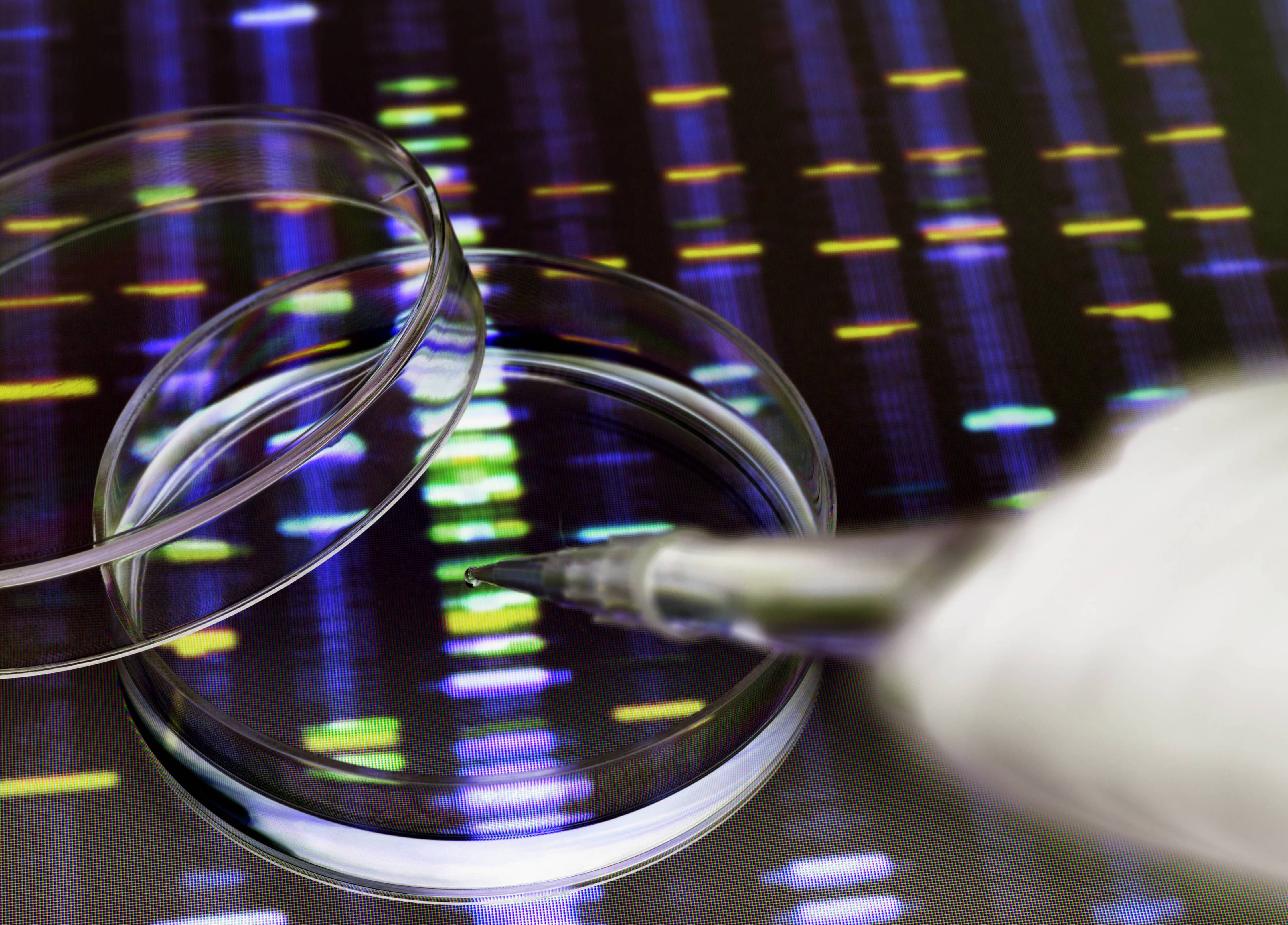 Healthcare Fortune Future 50