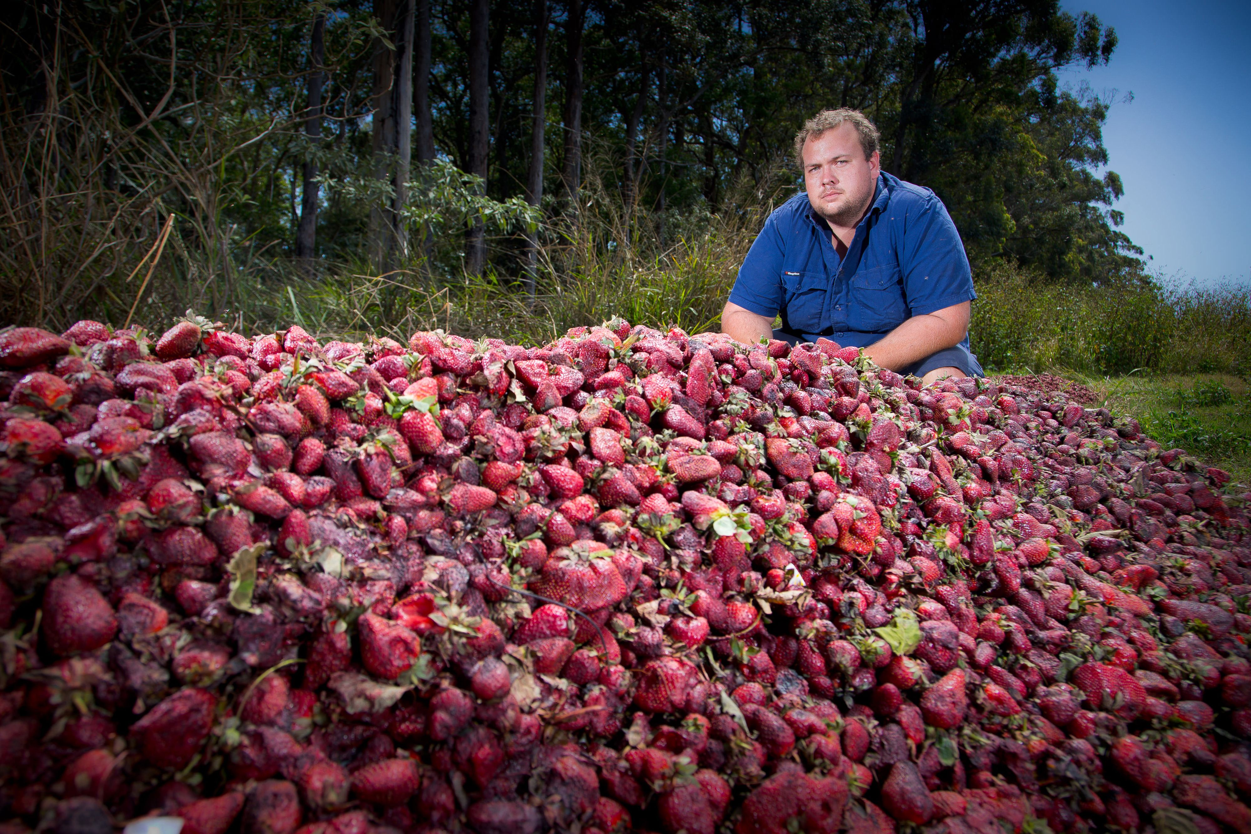 AUSTRALIA-CRIME-FRUIT