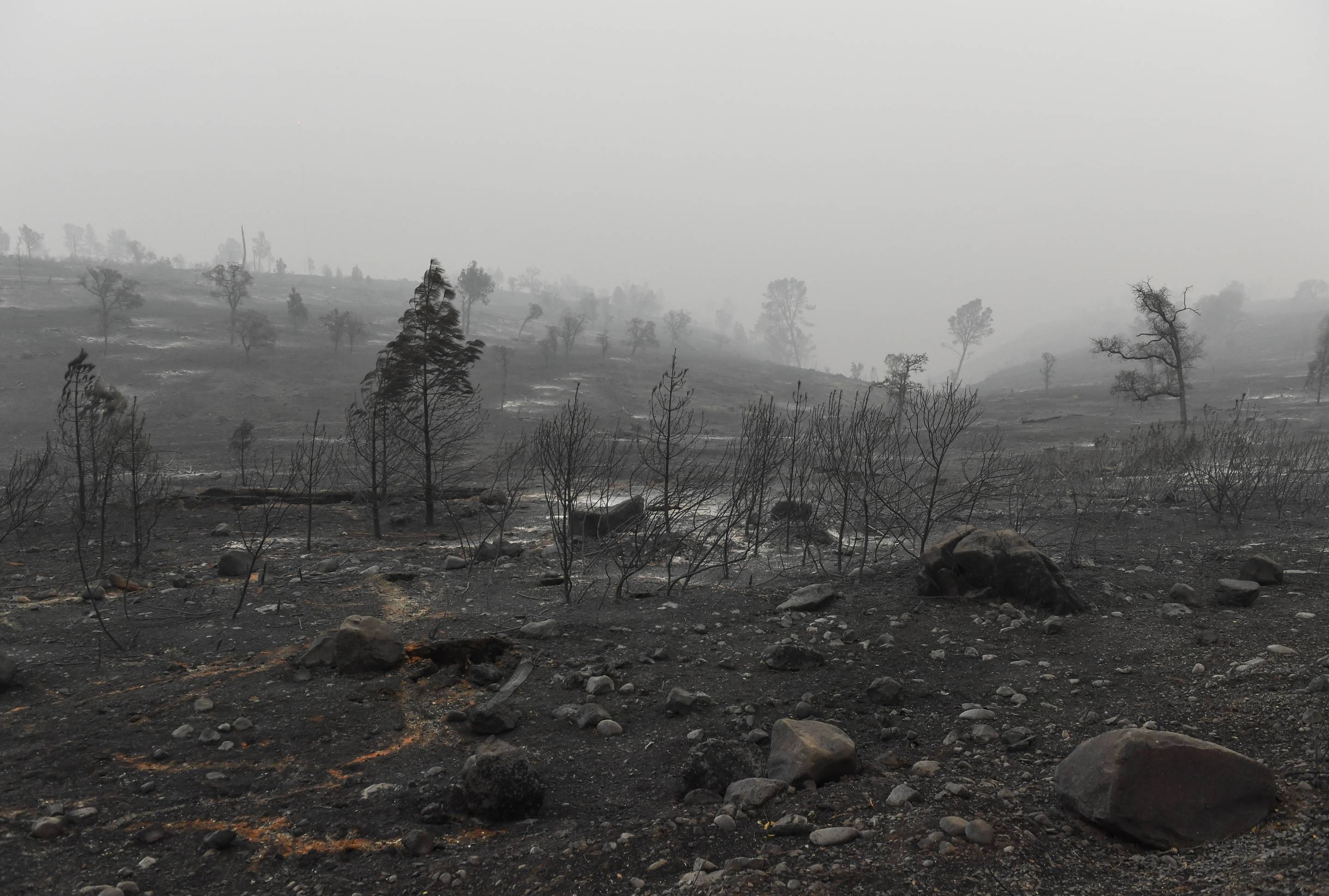 California Wildfires