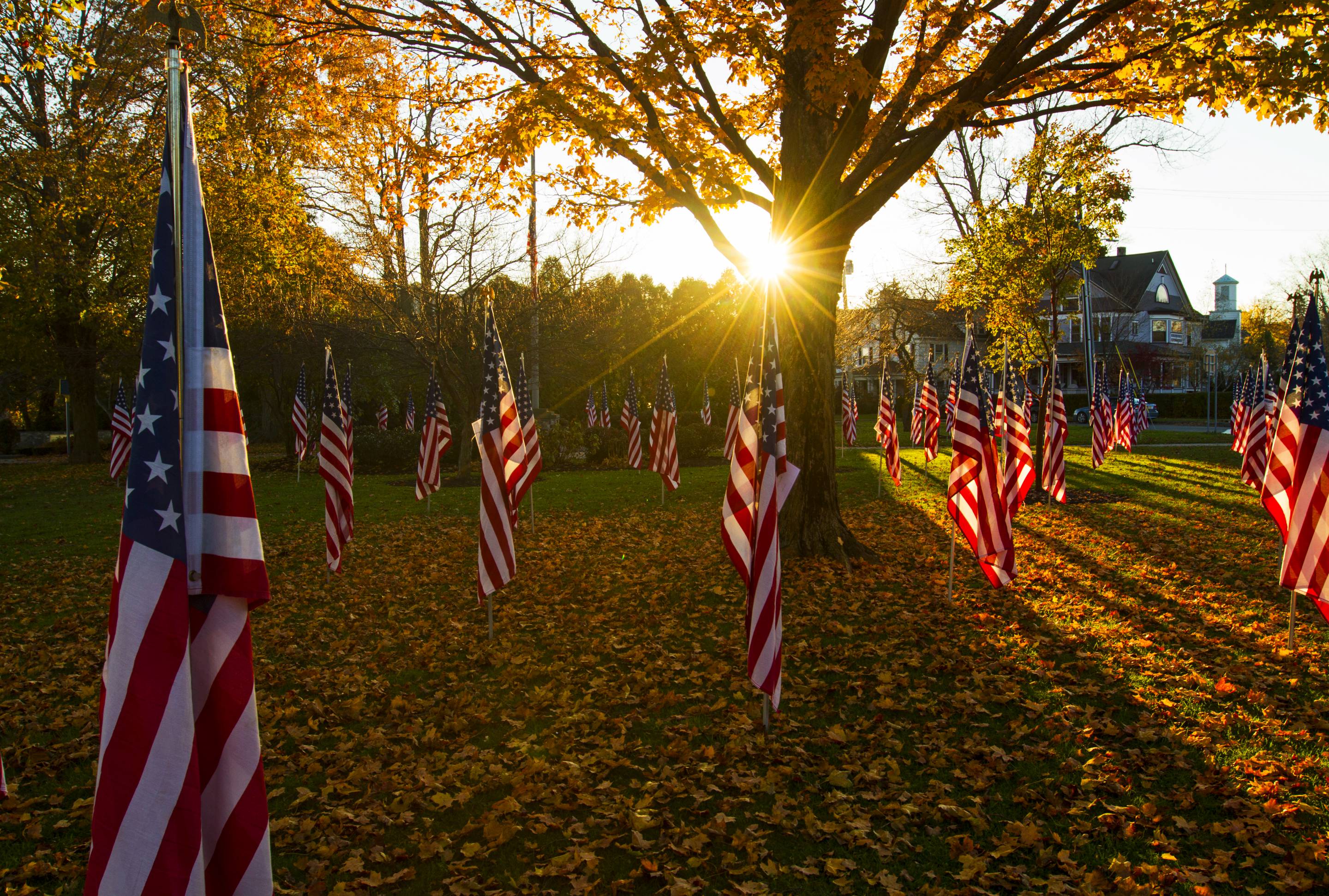Veterans Day