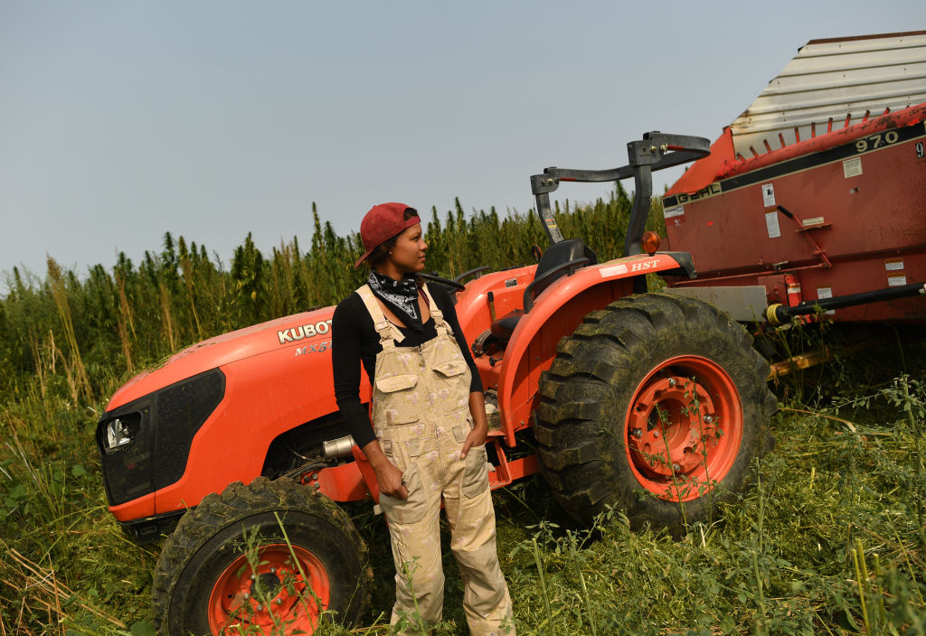 Colorado Hemp Farm