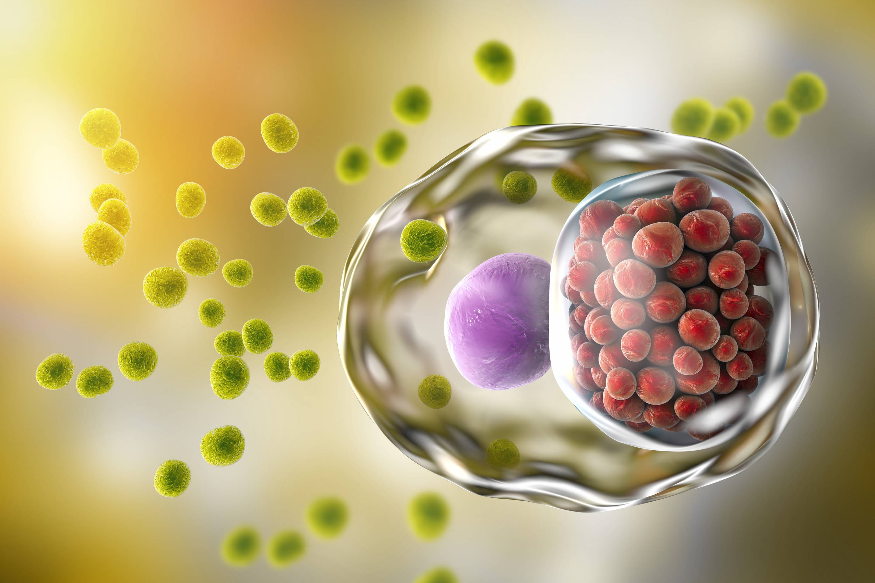 Chlamydia infection, illustration