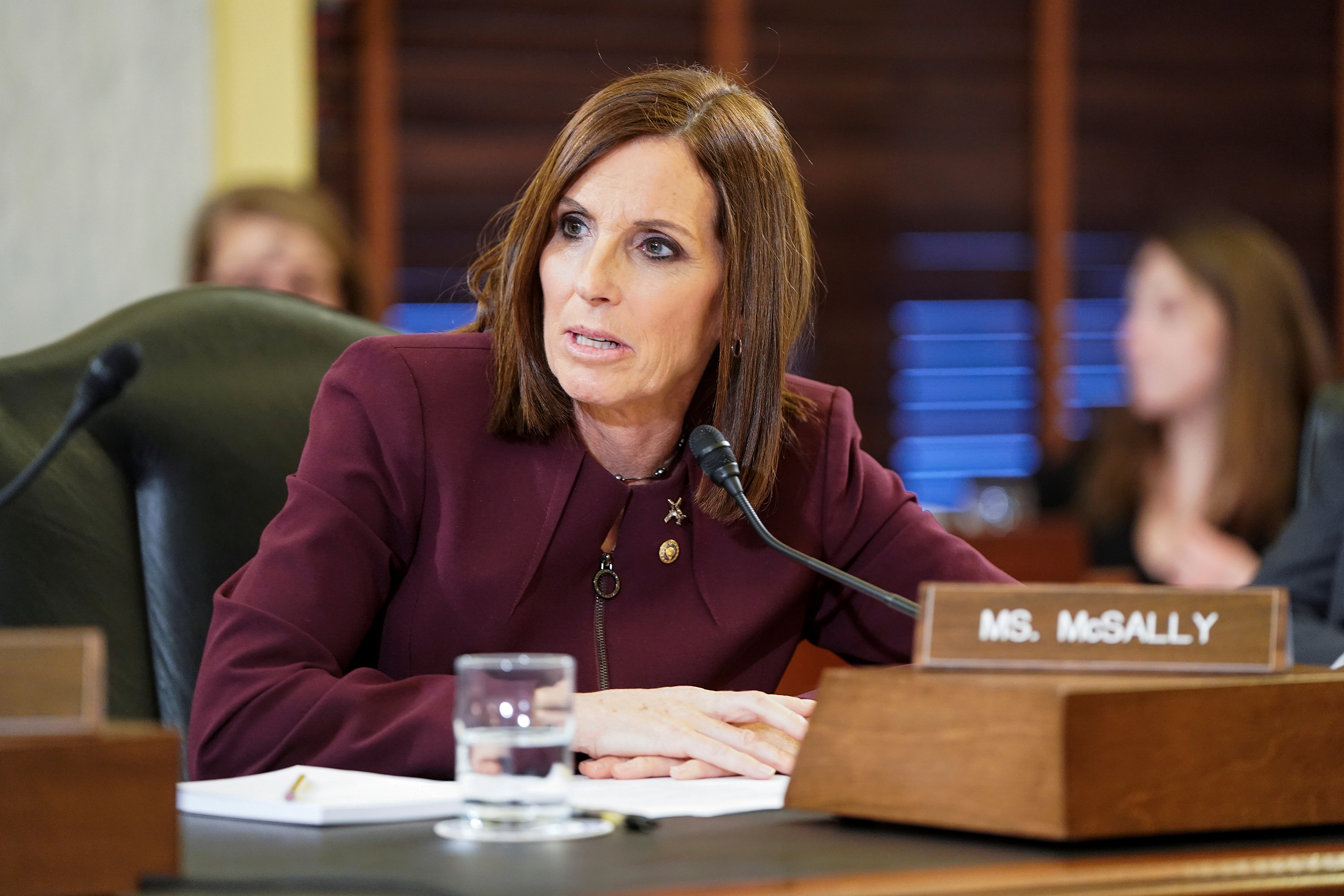 Senator Martha McSally Testimony