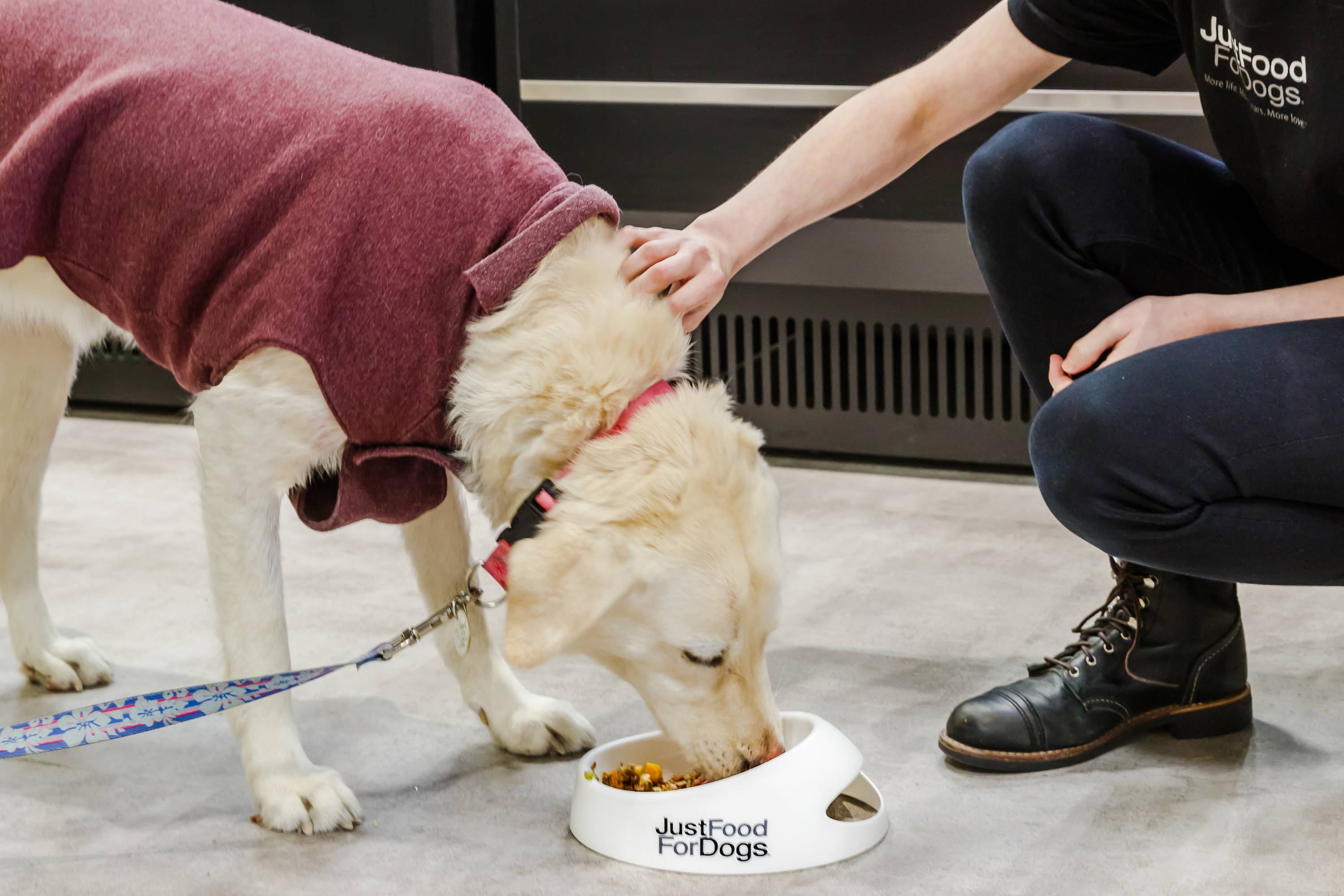 Petco is opening an in-store pet food kitchen at its flagship store in New York City’s Union Square.