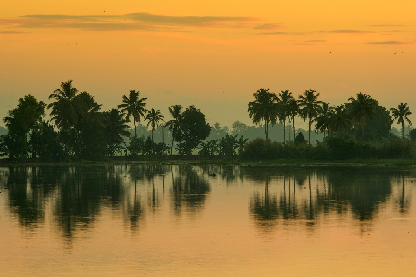Malabar Escapes