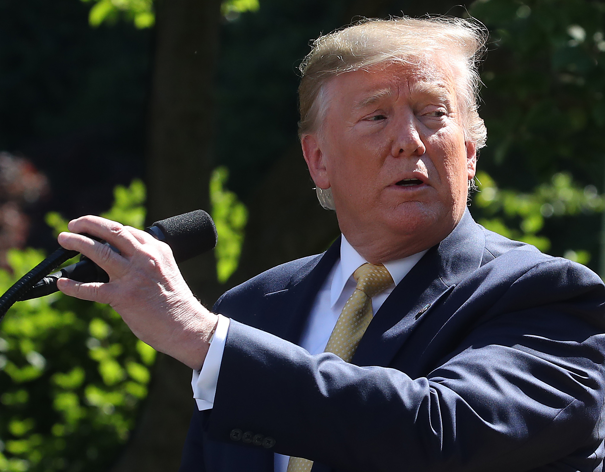 President Donald Trump Delivers Remarks In The Rose Garden On Expanding Health Coverage Options For Small Businesses