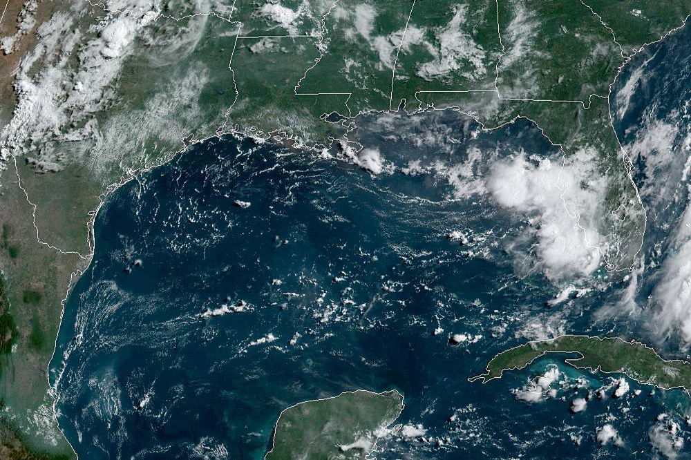 gulf of mexico forecast