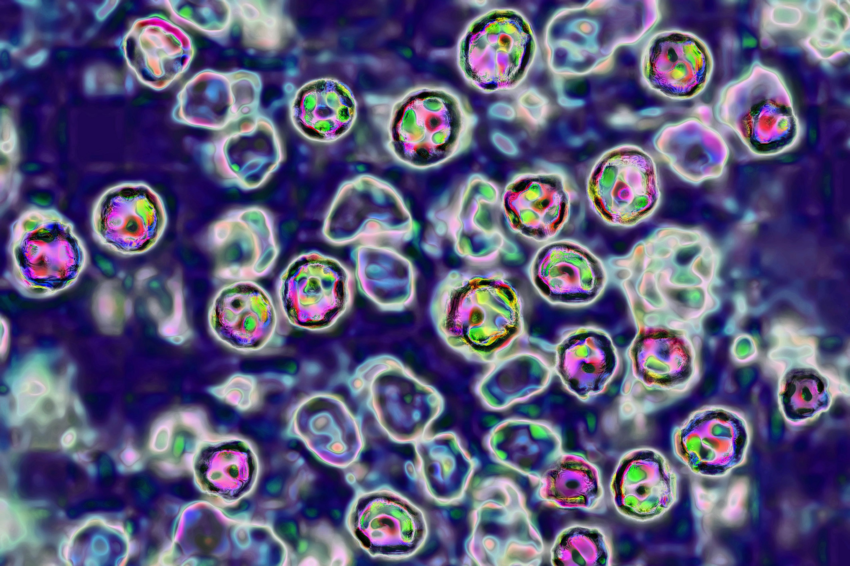 Measles Virus Vaccines