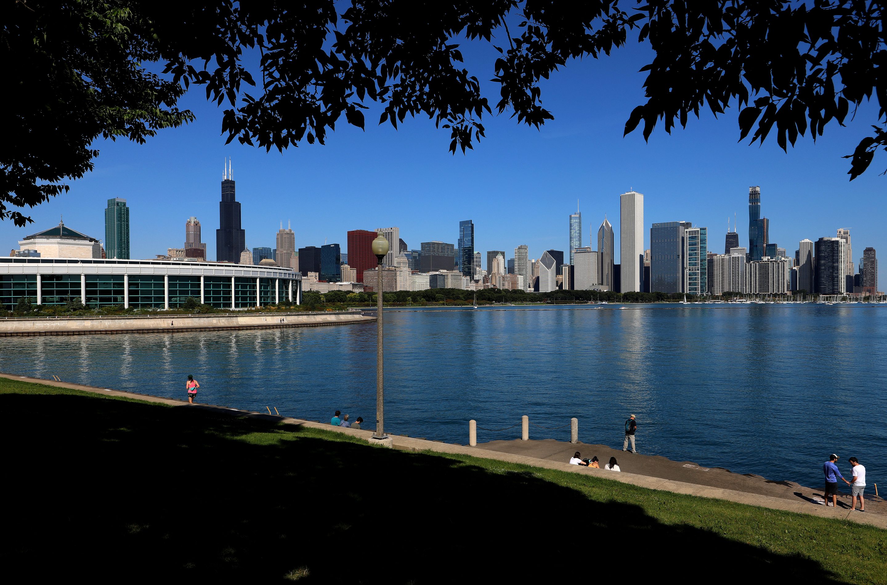 chicago skyline