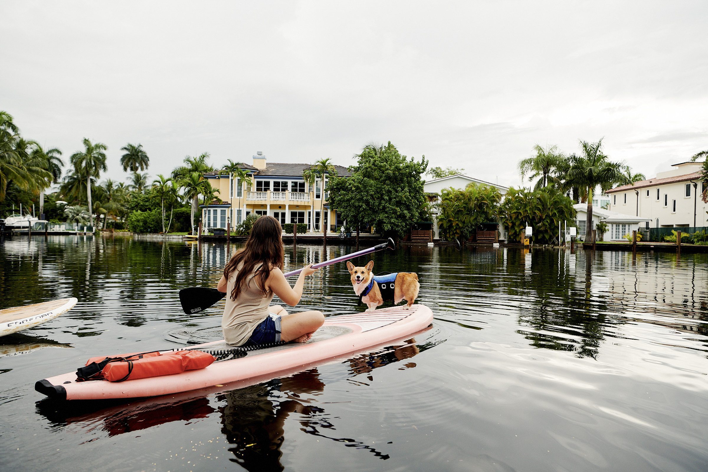 Airbnb Animal Experiences Corgi Paddleboarding