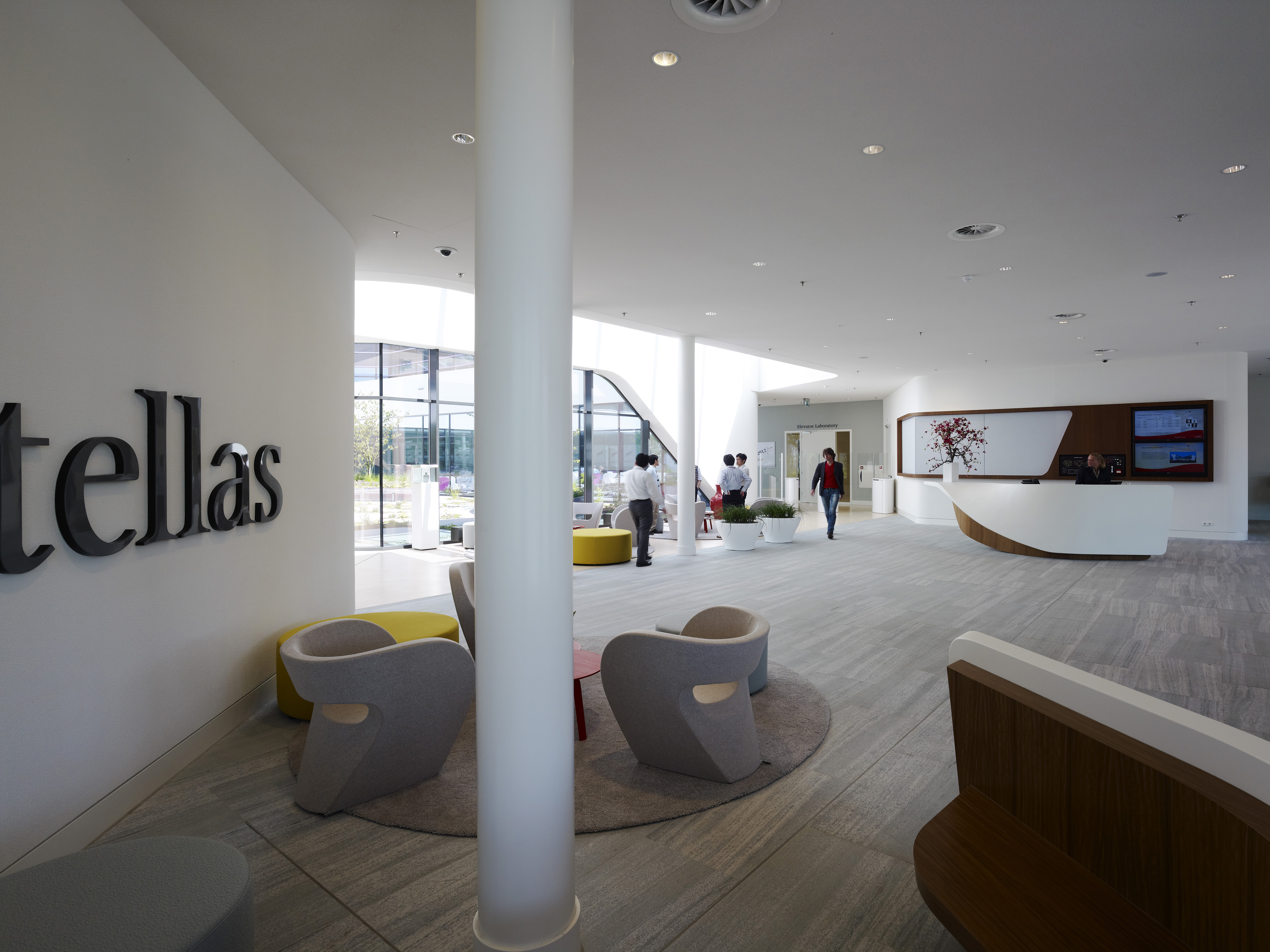 Astellas Gene Therapy Deal