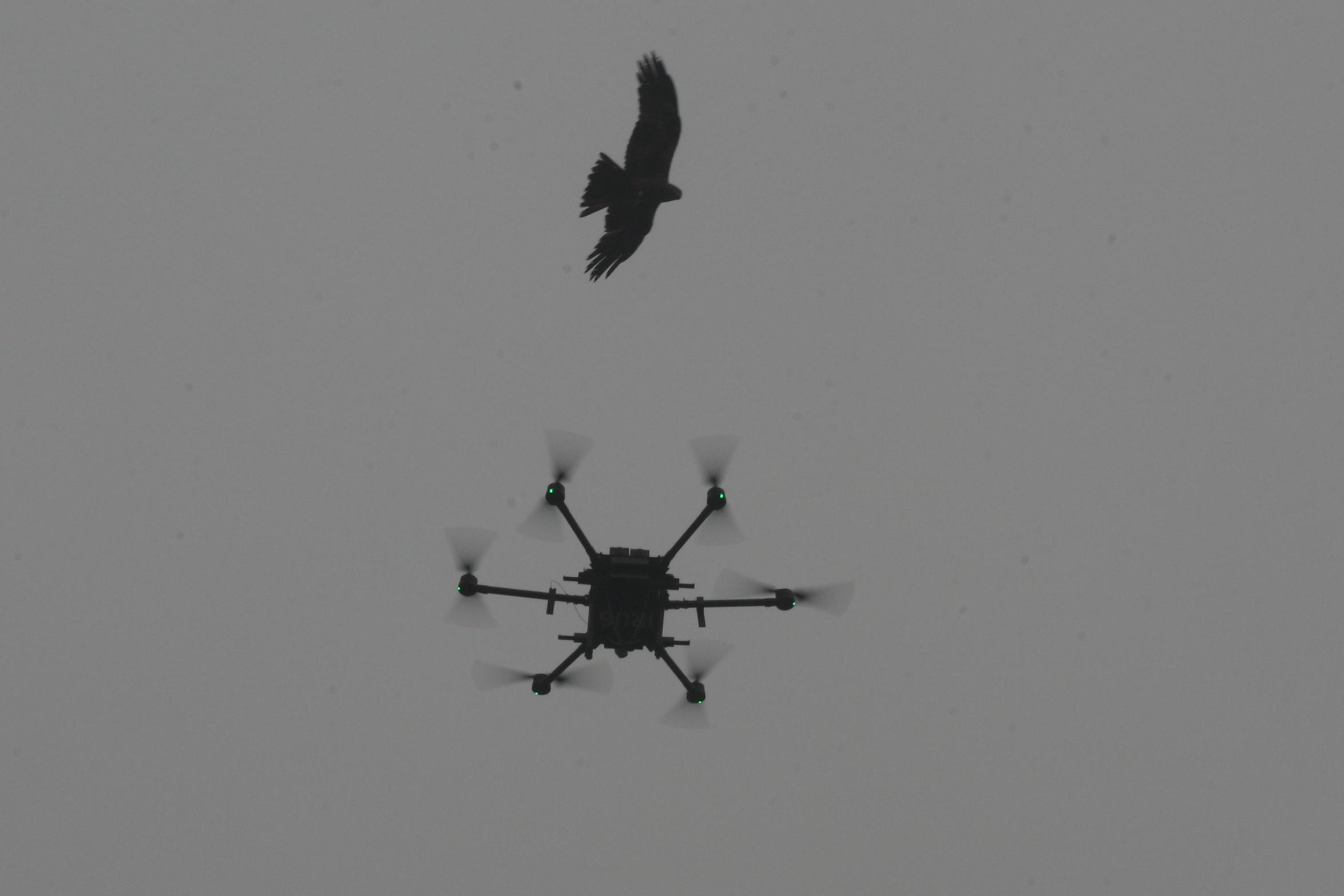 drone