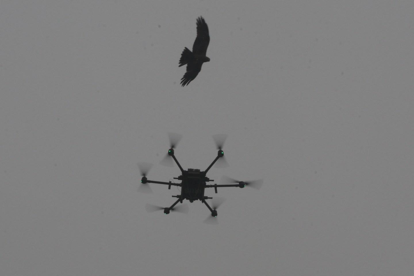 drone