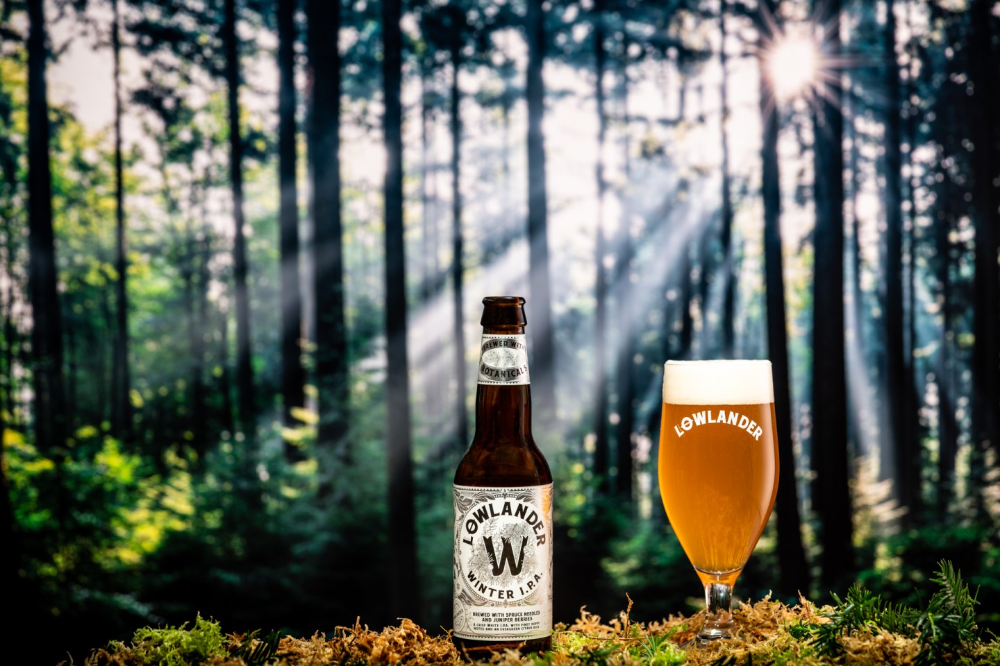 How Last Year’s Christmas Trees Became This Year’s Seasonal Brew