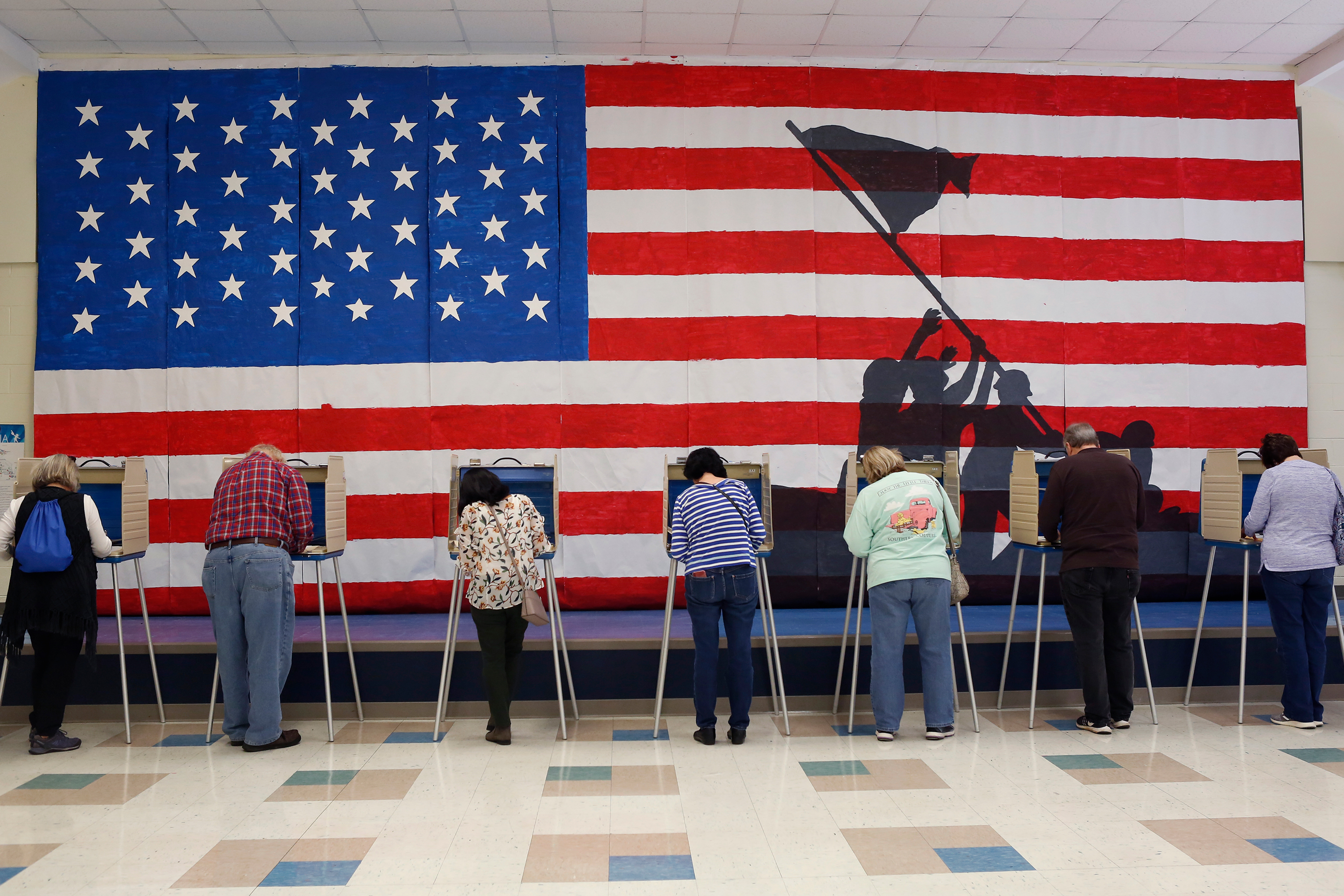 Voting-Purge