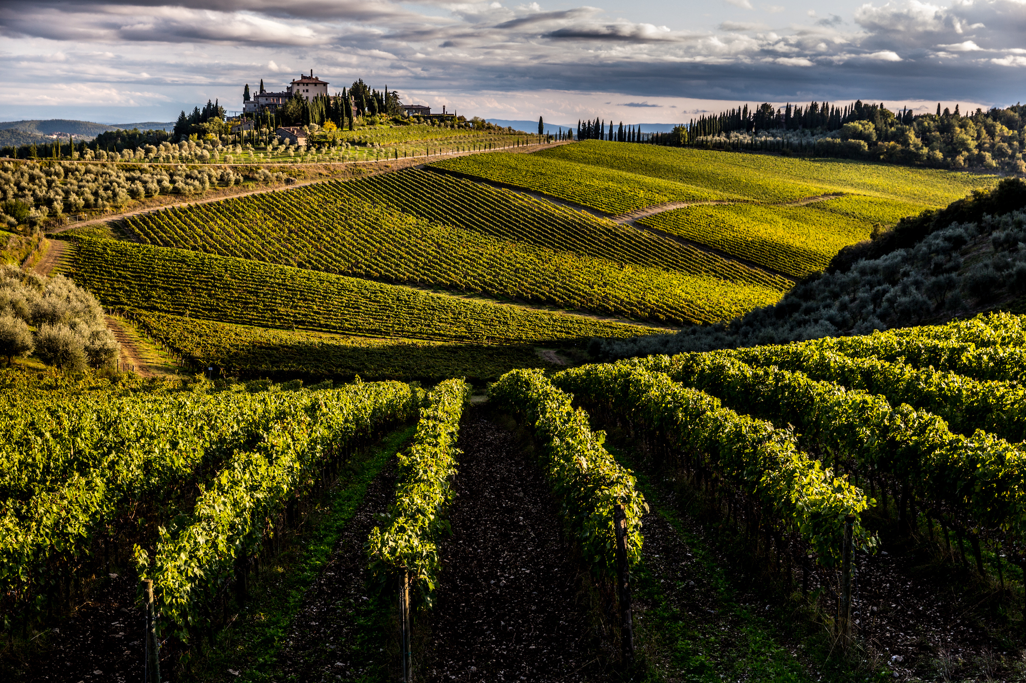 Lamberto Frescobaldi says the lack of tourism is one factor that will hurt the wine industry.