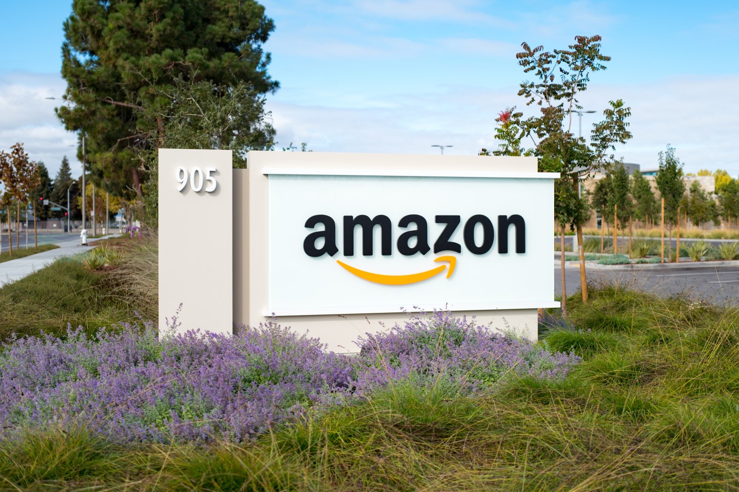 Amazon recommends that employees work from home if they can