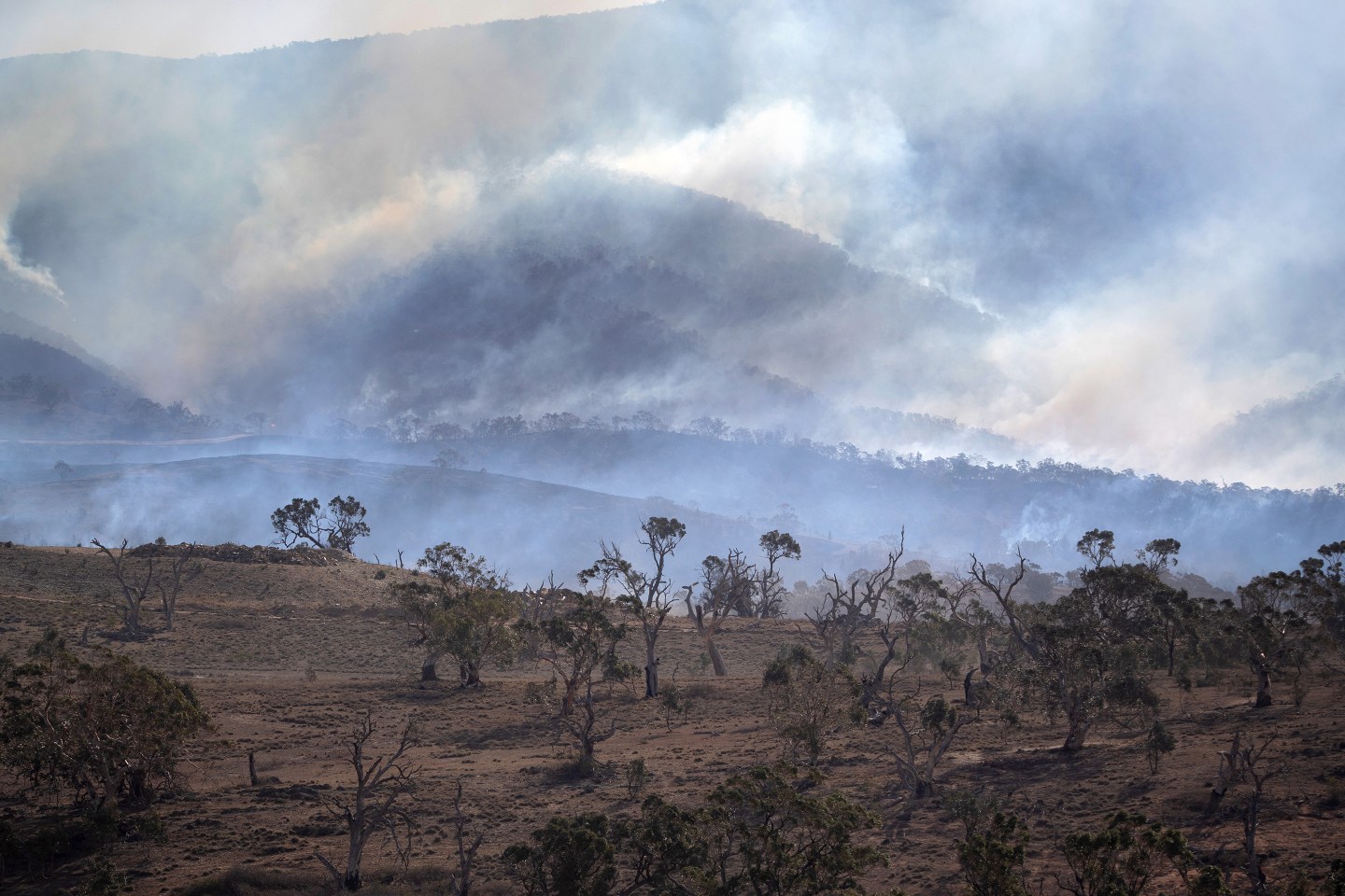 RAP Australia Brushfires