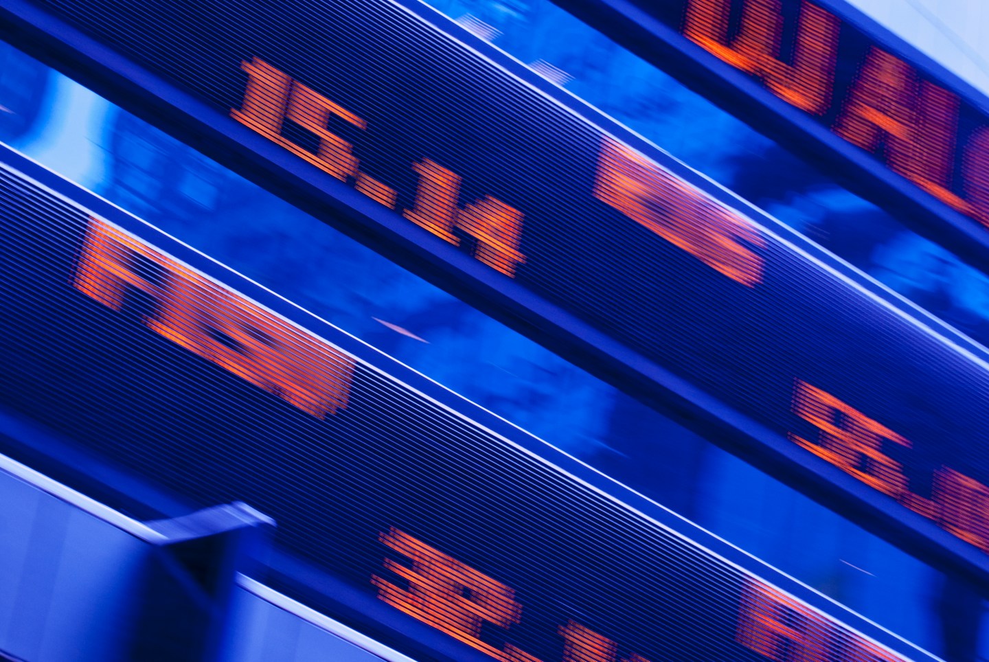 These stocks just hit record highs, despite the bear market