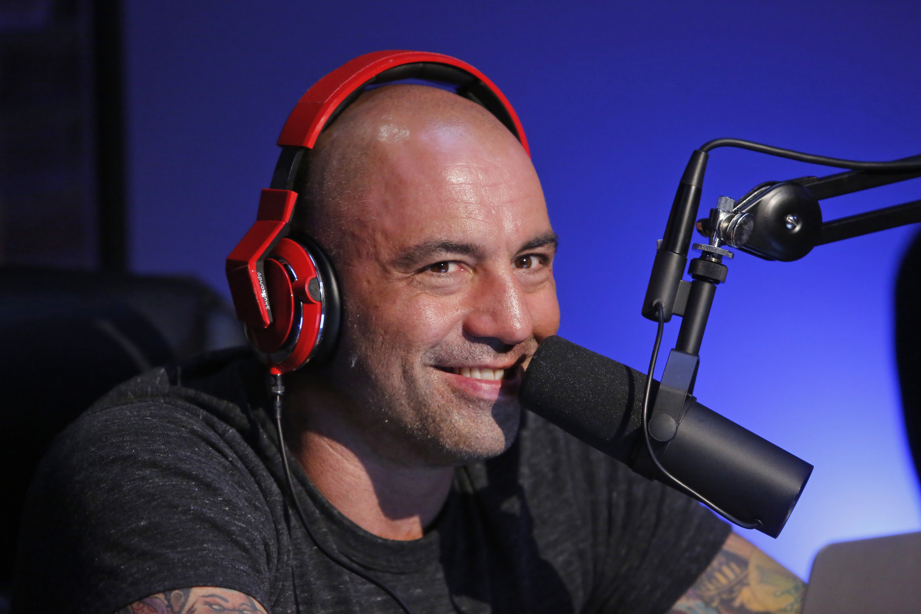 Podcast personality Joe Rogan, photographed in 2013.