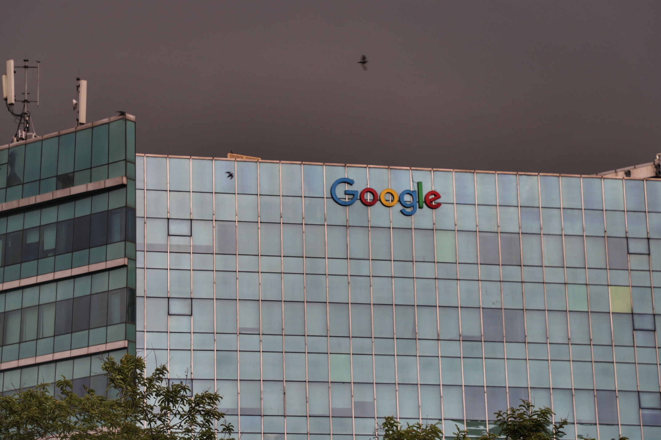 Google has been sued for its data collection practices. Nasir Kachroo—NurPhoto/Getty Images