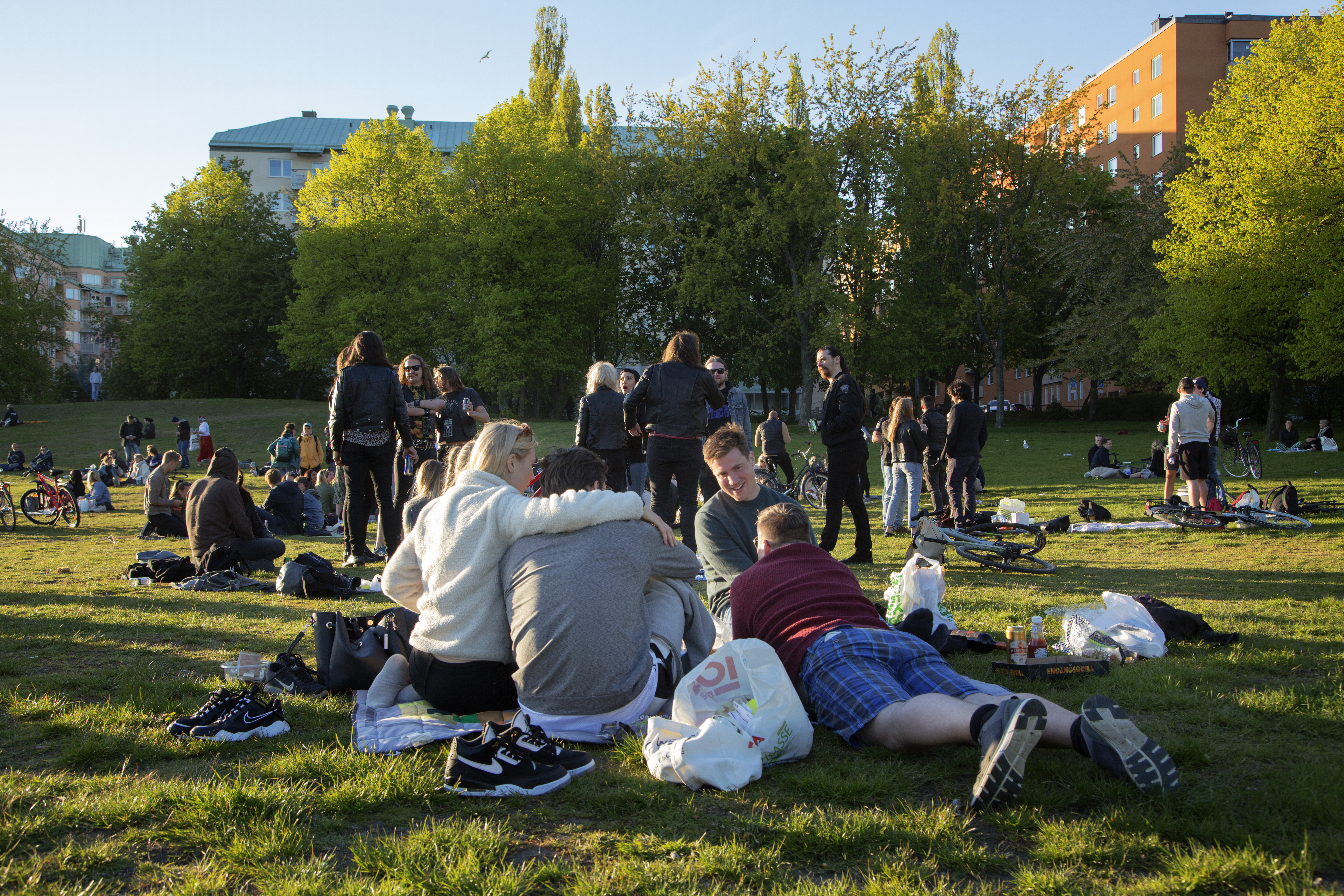 Groups of people sit in a park at Tantolunden in Stockholm, Sweden. Sweden, which has refused to close down schools and restaurants to contain the new coronavirus, is being closely watched as many other countries are gradually opening up their economies from stricter lockdowns. Photographer: Loulou D'Aki/Bloomberg via Getty Images