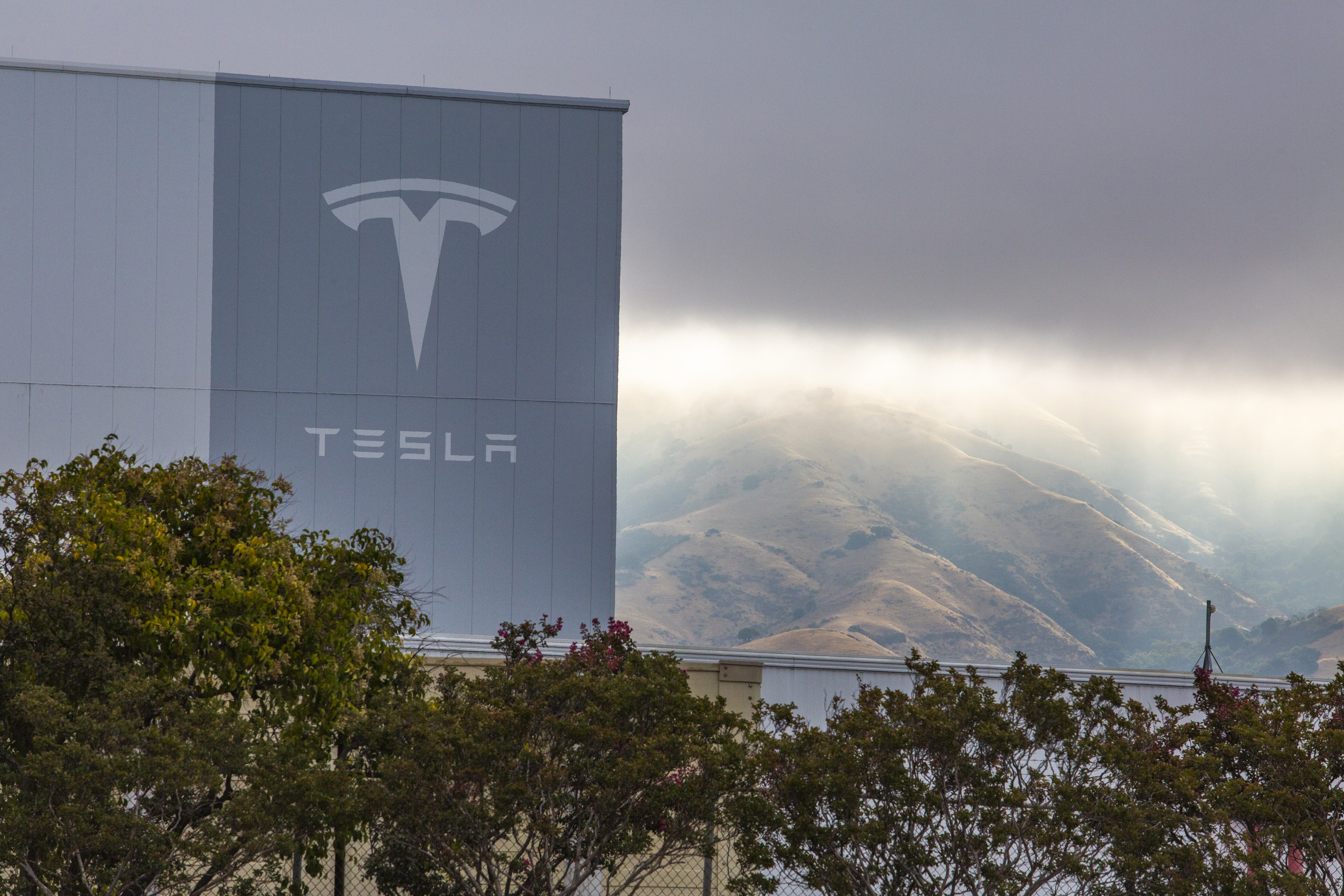 The exterior of Tesla's factory in Fremont, Calif. Tesla reported earnings on Wednesday. Photographer: Nina Riggio/Bloomberg via Getty Images