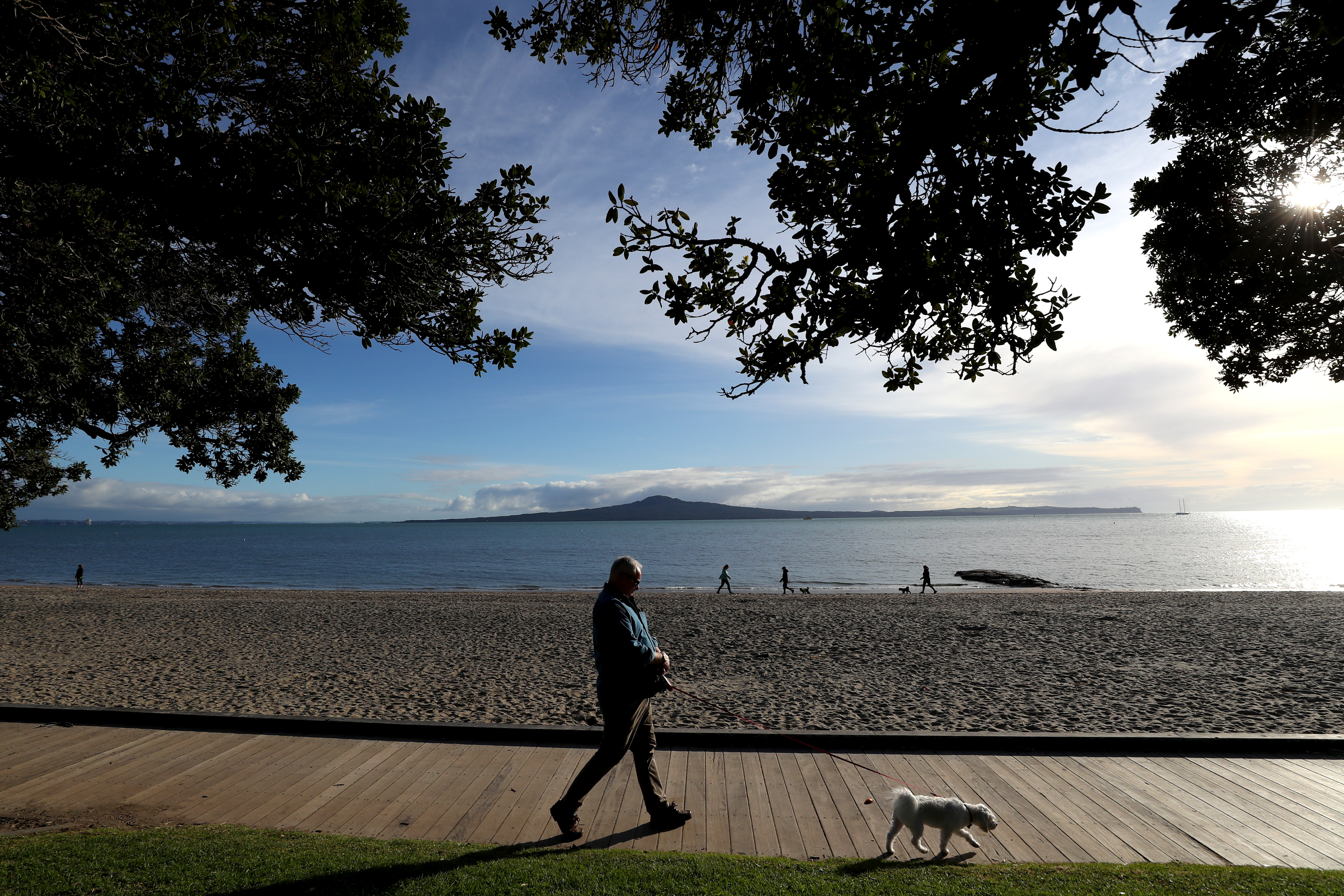 AUCKLAND, NEW ZEALAND - AUGUST 17: A man walks his dog under level 3 restrictions along Kohimarama Beach on August 17, 2020 in Auckland, New Zealand. COVID-19 restrictions are in place across the country following the discovery of a coronavirus cluster in Auckland. Auckland is at Level 3 lockdown restrictions, while the rest of New Zealand is operating under Level 2. The restrictions will be in place until 11:59pm Wednesday 26 August, with Cabinet to review those settings on 21 August. COVID-19 restrictions were reintroduced across New Zealand on Wednesday 12 August in response to the discovery of a COVID-19 cluster in Auckland. (Photo by Hannah Peters/Getty Images)