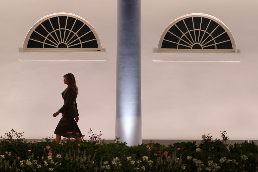 Republicans Hold Virtual 2020 National Convention