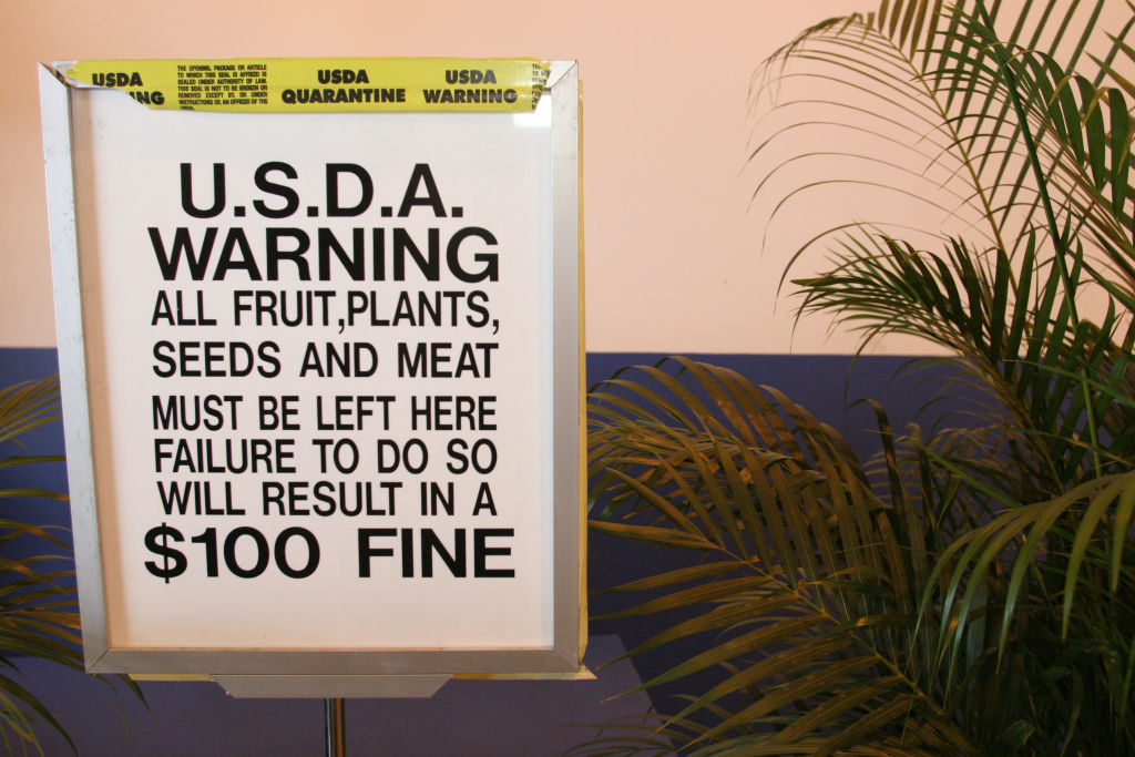 The USDA has been investigating the postage of unsolicited seeds from China to the U.S. (Photo by: Jeffrey Greenberg/Universal Images Group via Getty Images)