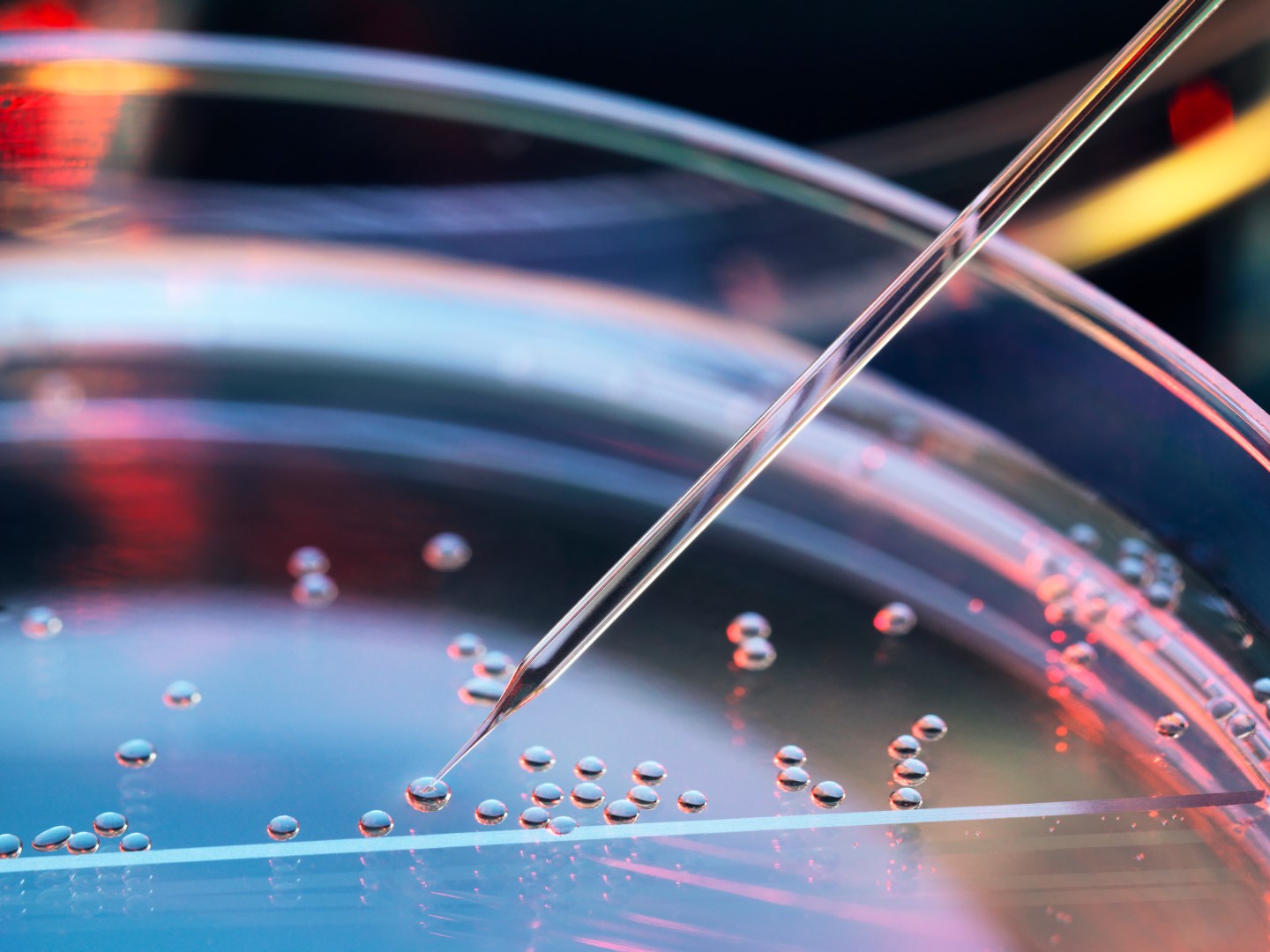 Alzheimer's COVID drug development FDA