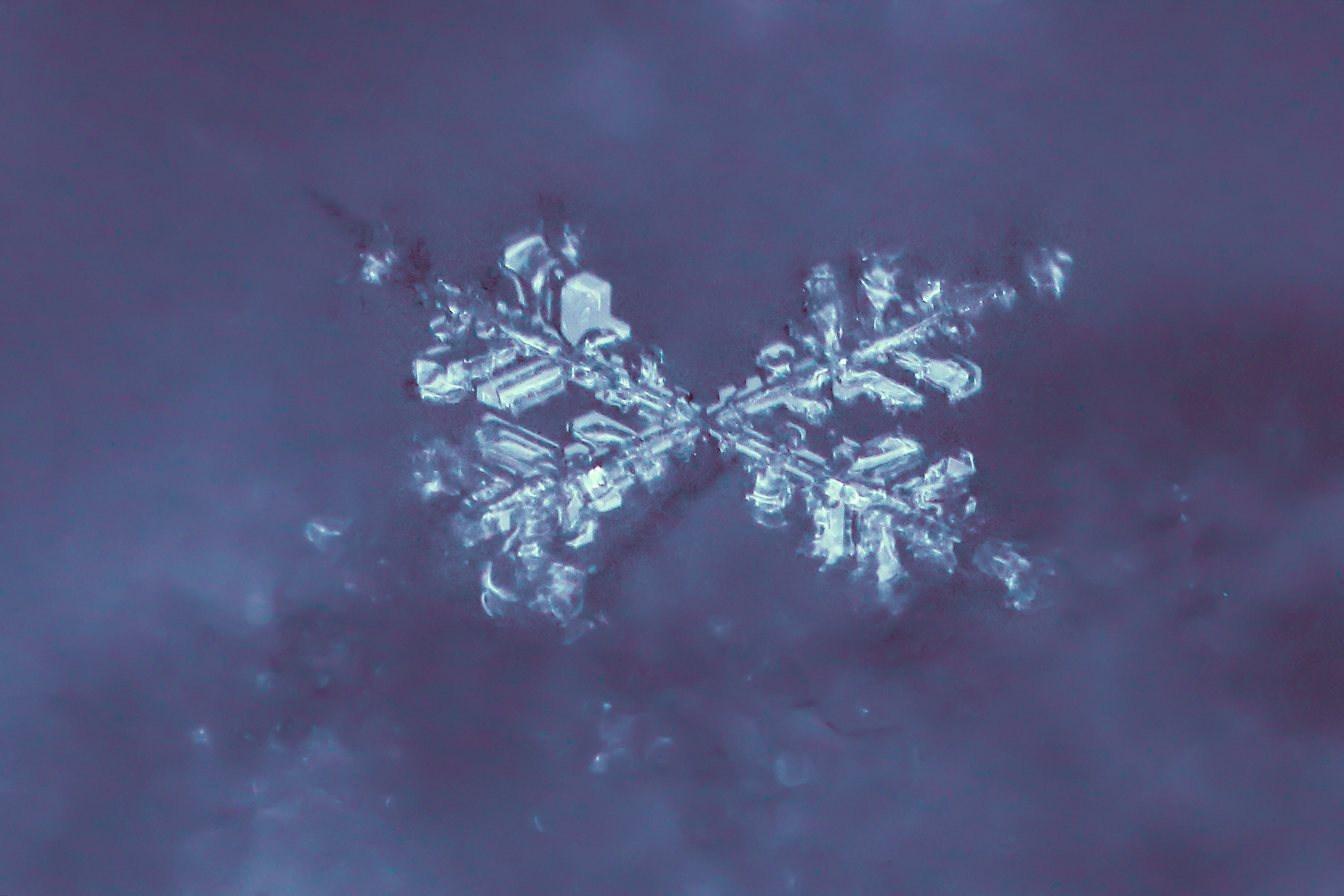 VAN, TURKEY - JANUARY 19: Different unique structures of snowflakes are seen during winter season in Van, Turkey on January 19, 2020.
