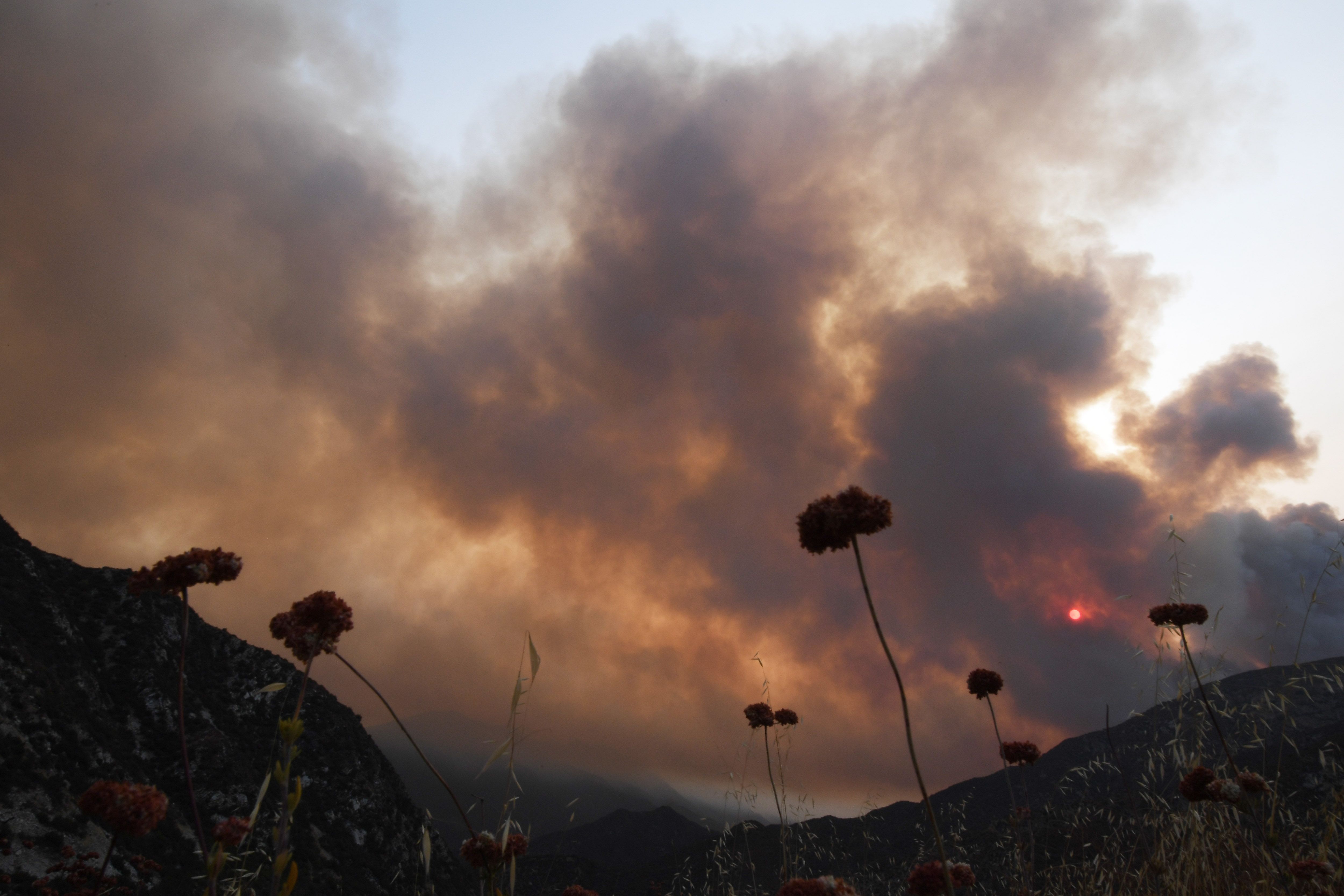 TOPSHOT - The sun is seen behind smoke from the Bobcat fire rising above in the Angeles National Forest above Duarte, California, about 27 miles (43 km) northeast of Los Angeles, September 7, 2020. - Eight national forests in California have been closed as firefighters battle blazes across the state which is in the grips of a record-setting heat wave. (Photo by Robyn Beck / AFP) (Photo by ROBYN BECK/AFP via Getty Images)