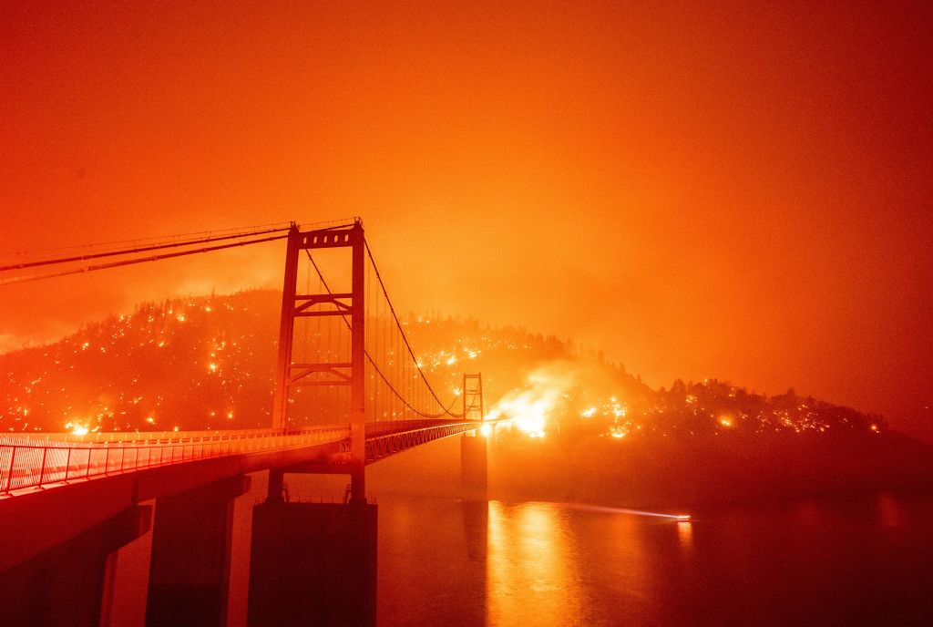 Photo by JOSH EDELSON/AFP via Getty Images